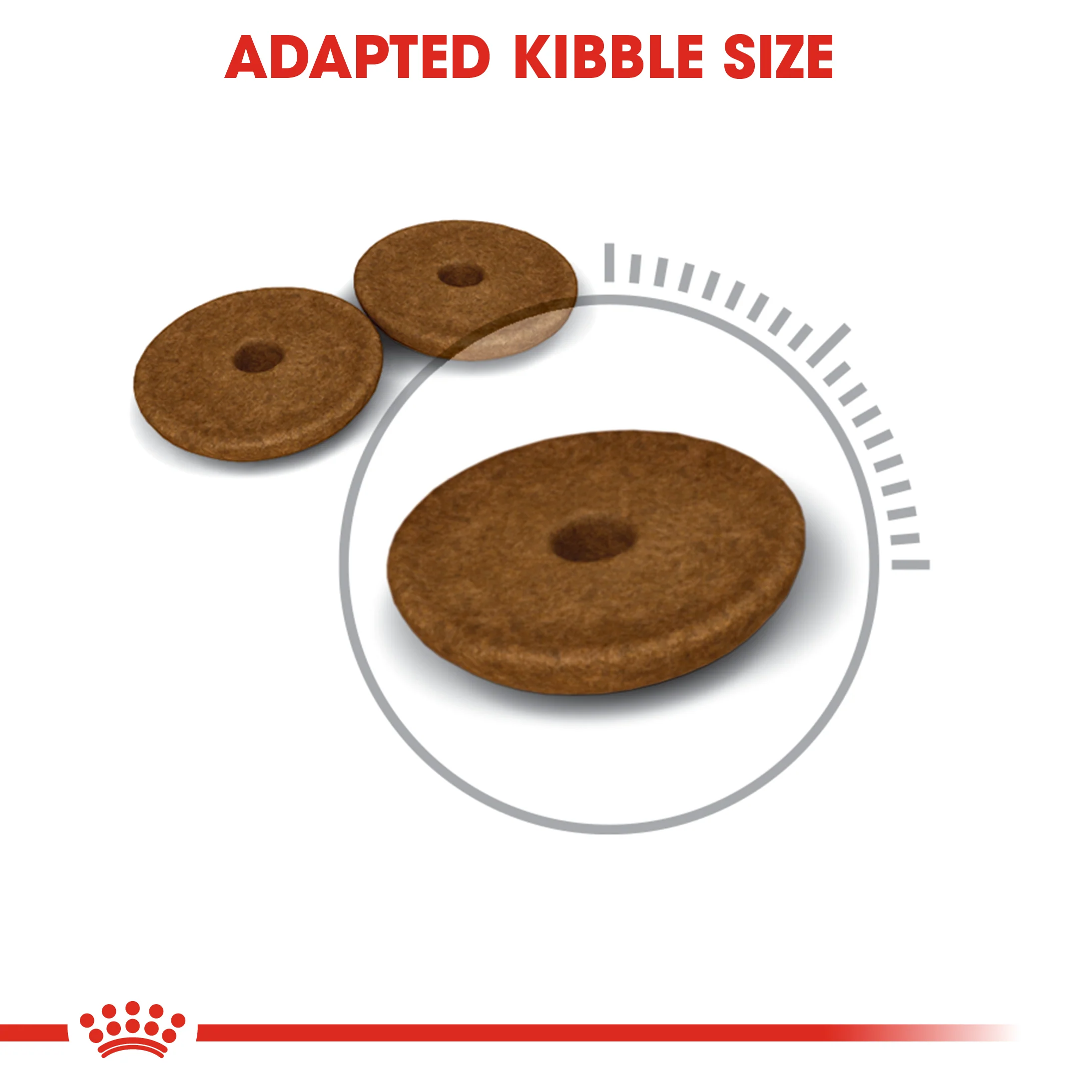 ROYAL CANIN® Digestive Care Adult Dry Cat Food - Image 2