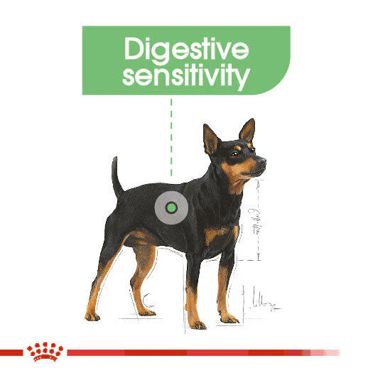ROYAL CANIN® Digestive Care Wet Pouches Adult Dog Food - Image 6