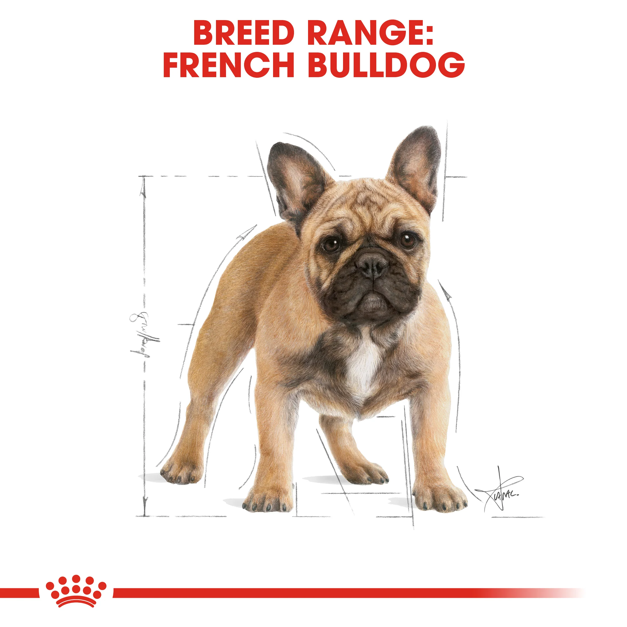 ROYAL CANIN® French Bulldog Adult Dry Dog Food - Image 11