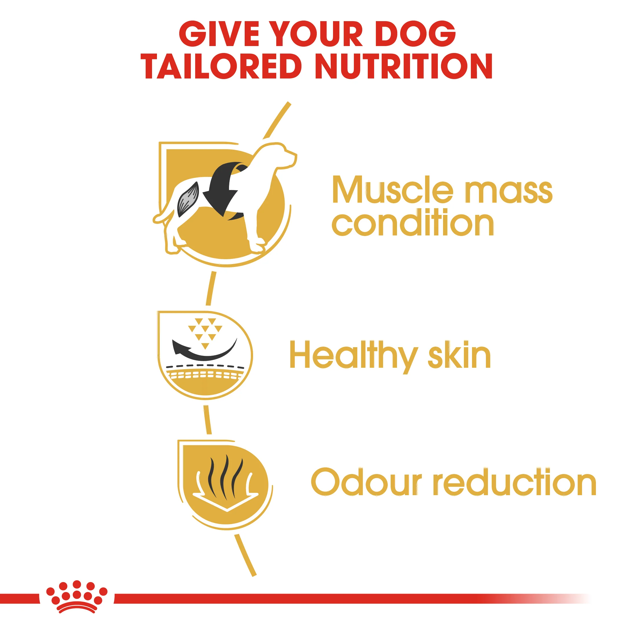 ROYAL CANIN® French Bulldog Adult Dry Dog Food - Image 6