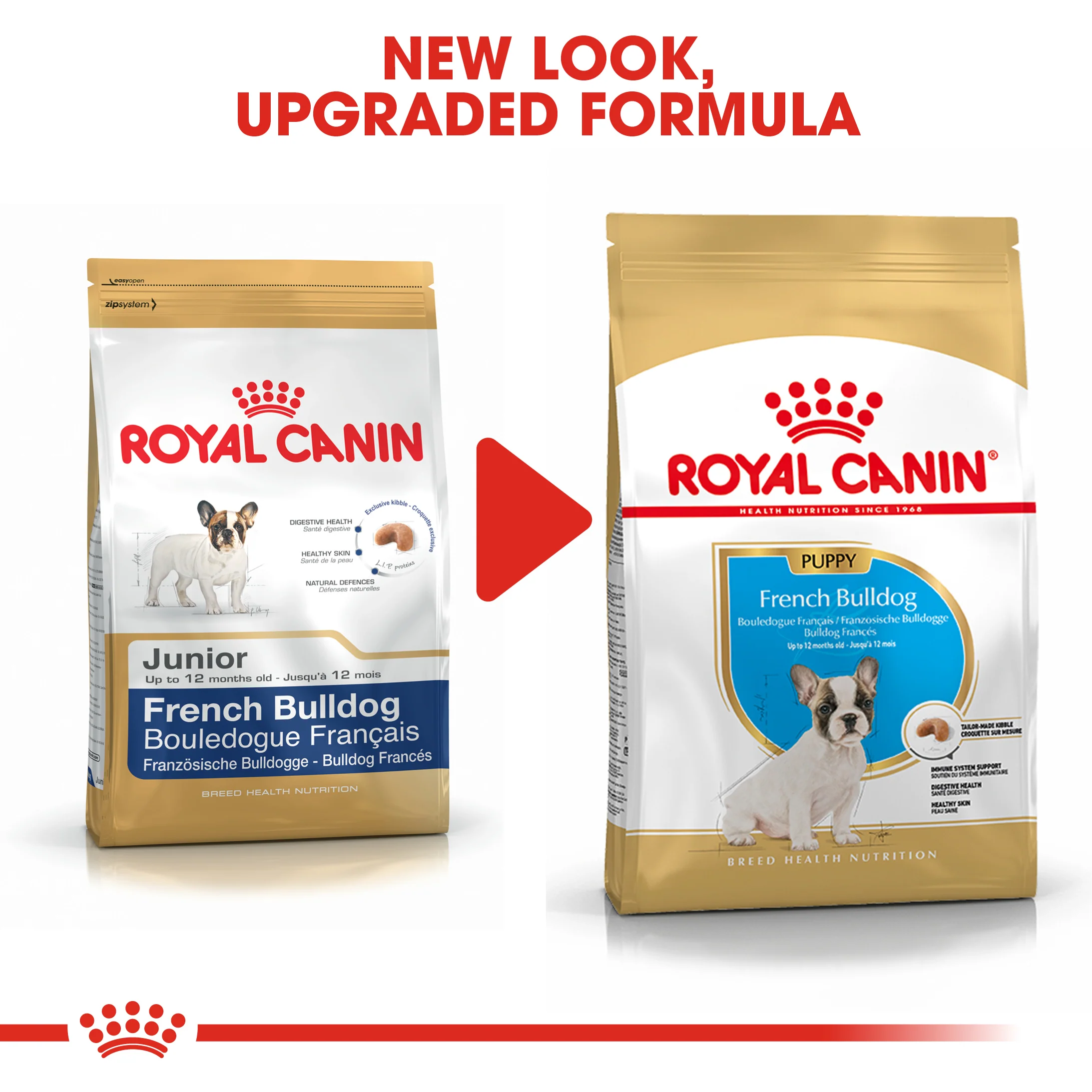 ROYAL CANIN® French Bulldog Puppy Dry Food - Image 10