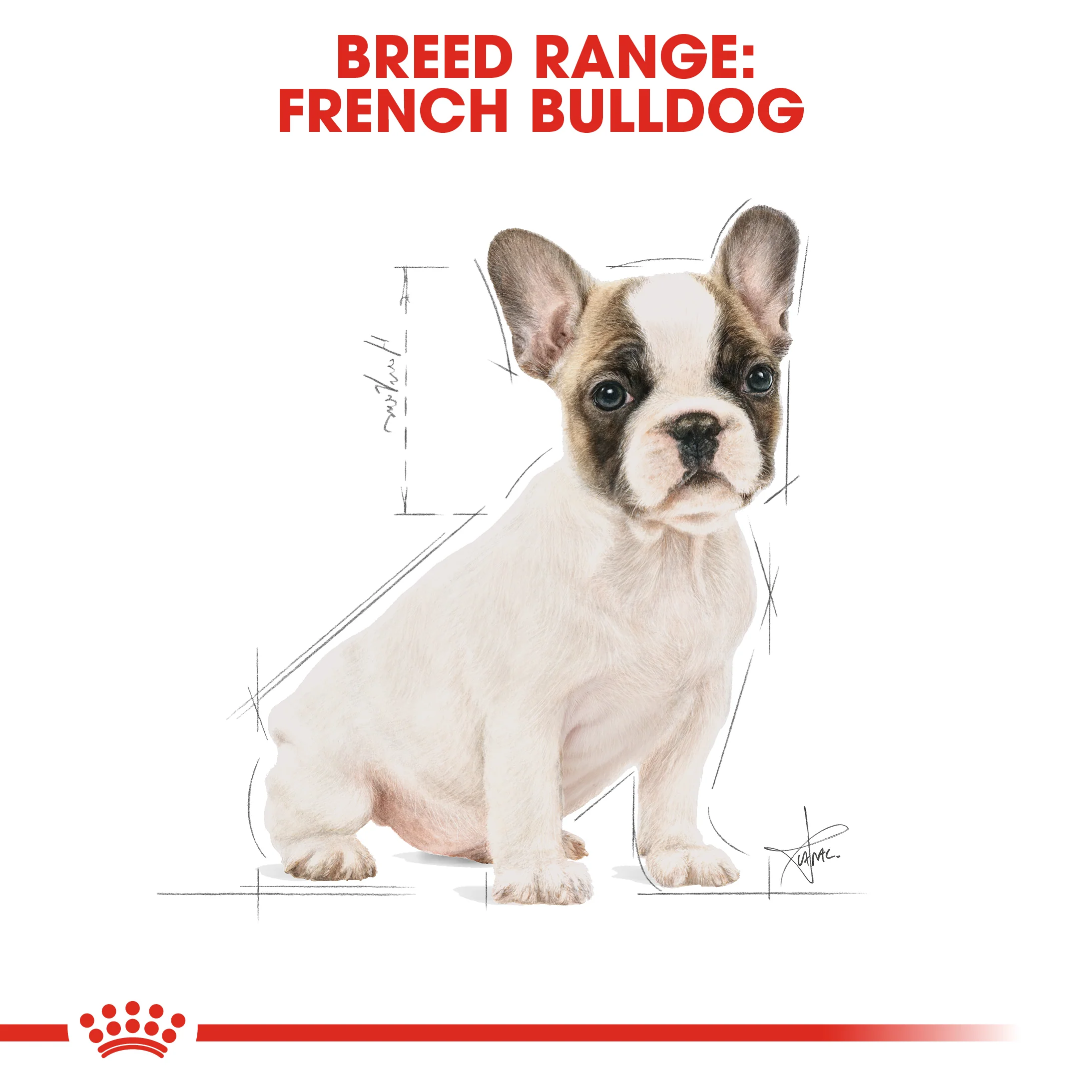 ROYAL CANIN® French Bulldog Puppy Dry Food - Image 9