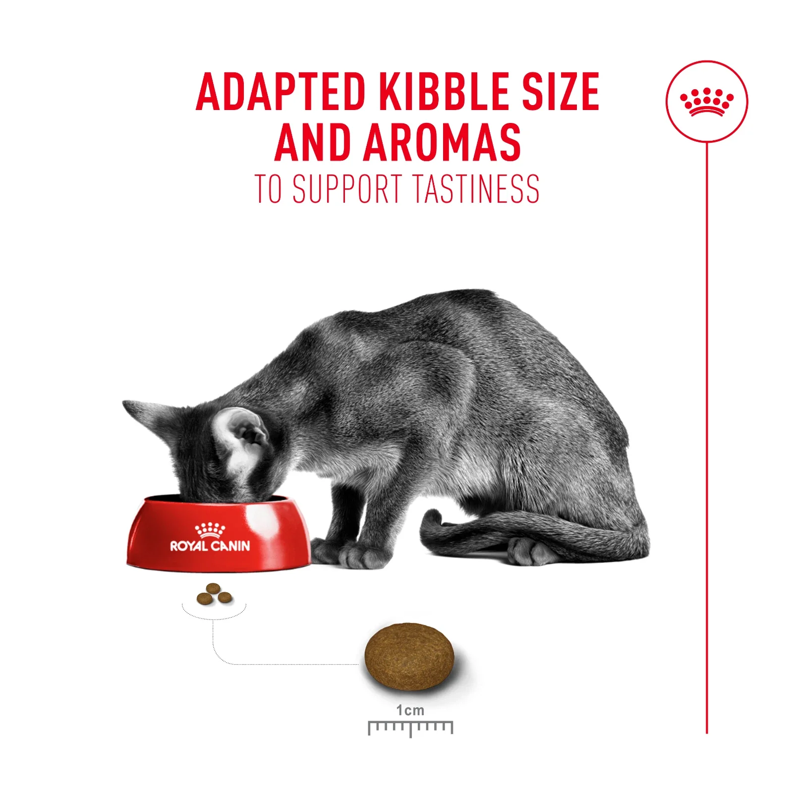 ROYAL CANIN® Fussy Adult Dry Cat Food - Image 2