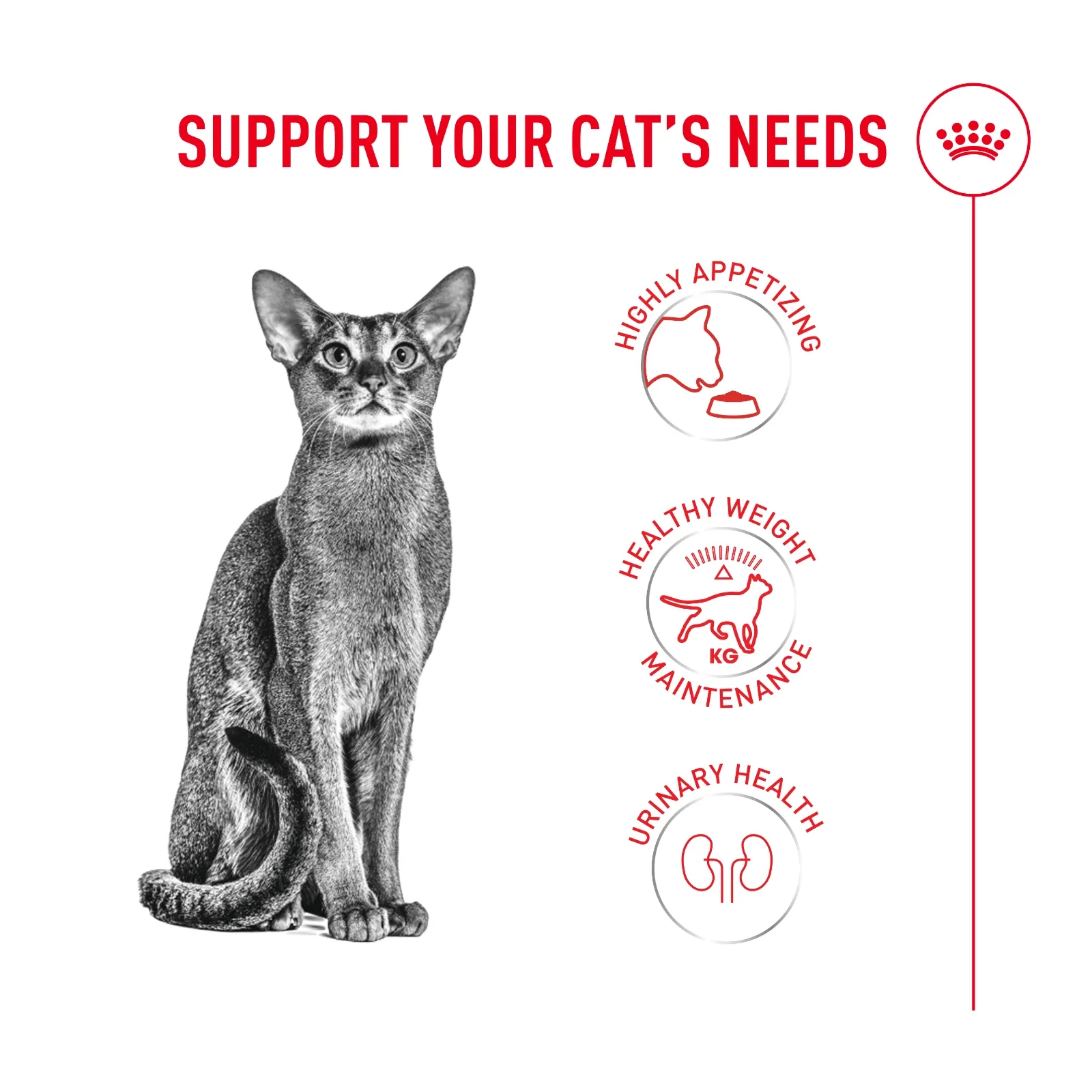 ROYAL CANIN® Fussy Adult Dry Cat Food - Image 3