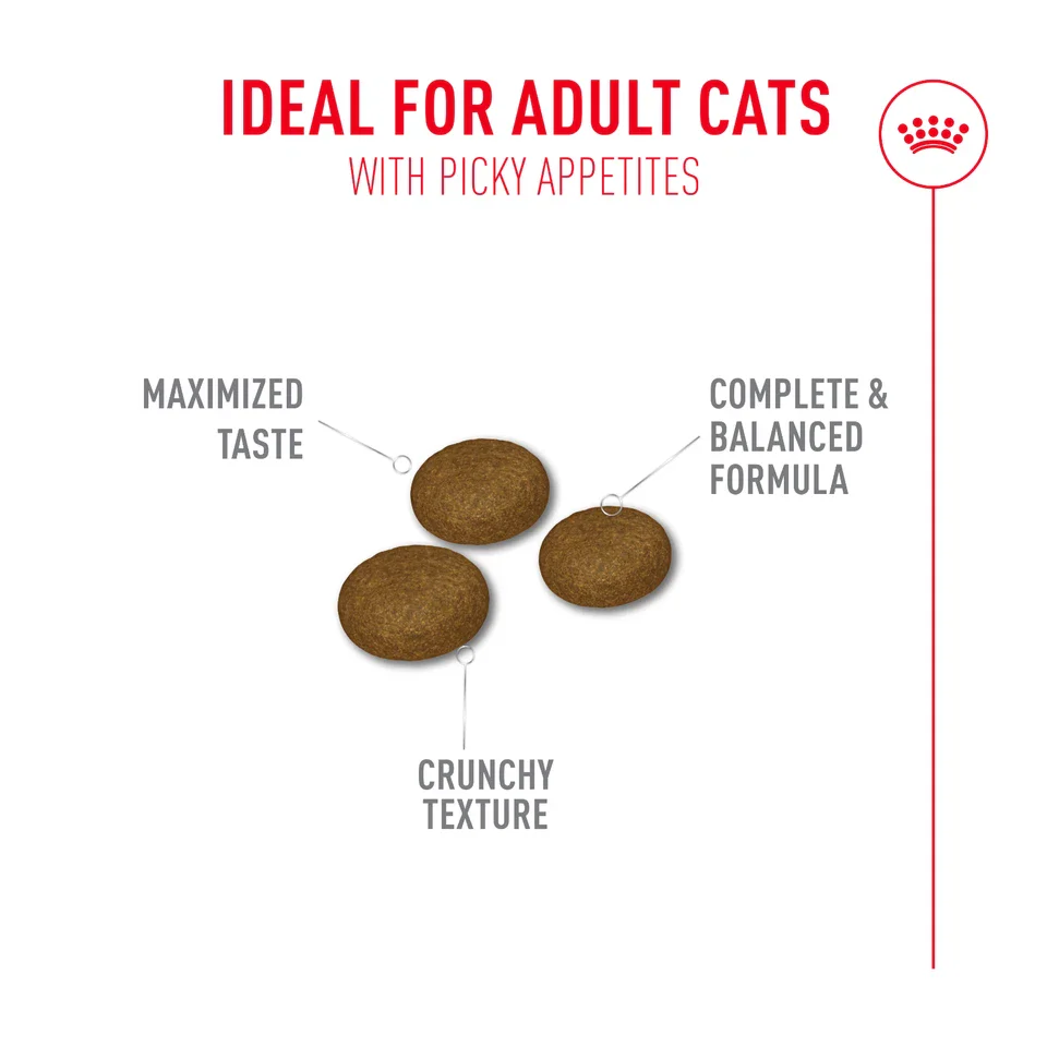 ROYAL CANIN® Fussy Adult Dry Cat Food - Image 4
