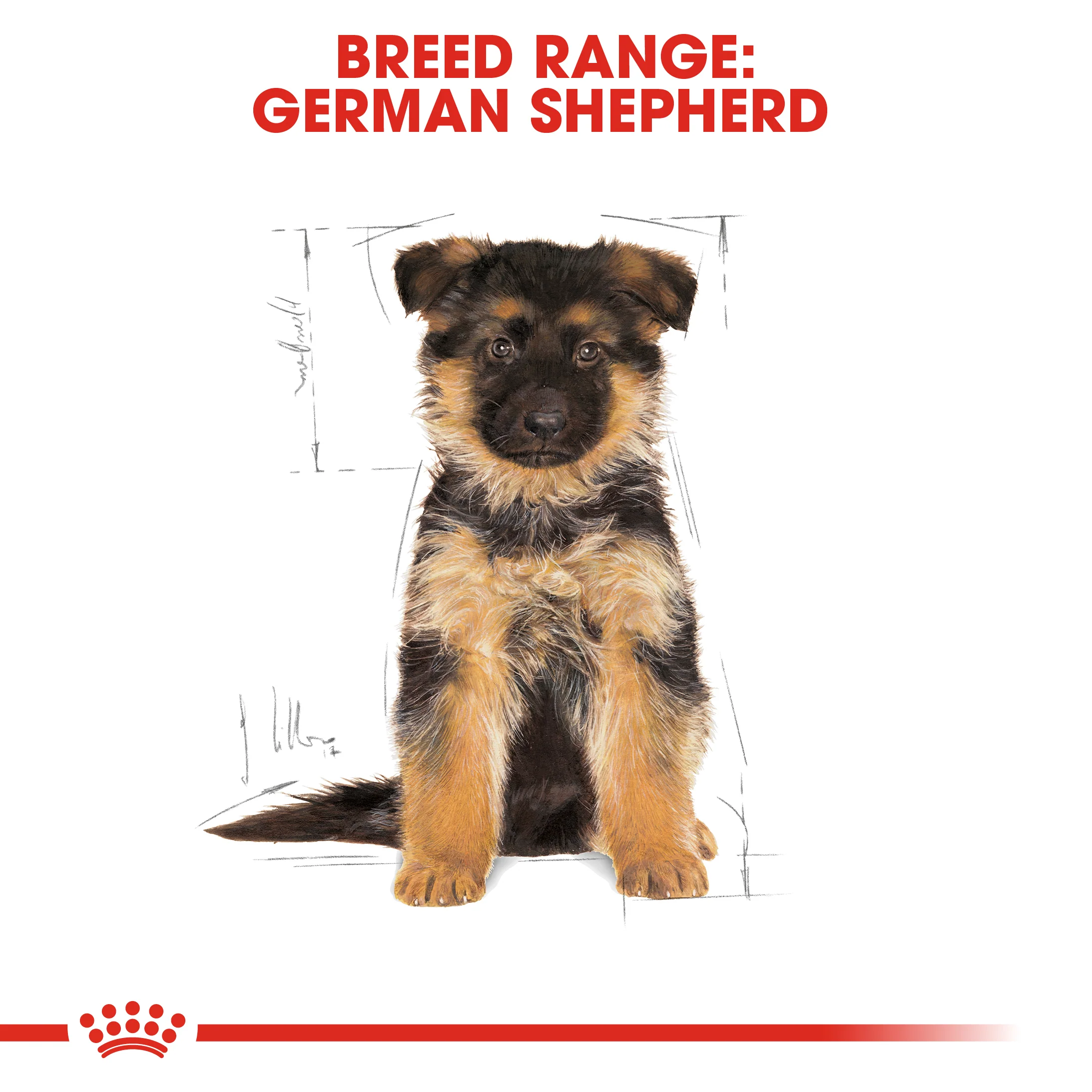 ROYAL CANIN® German Shepherd Puppy Dry Food - Image 12