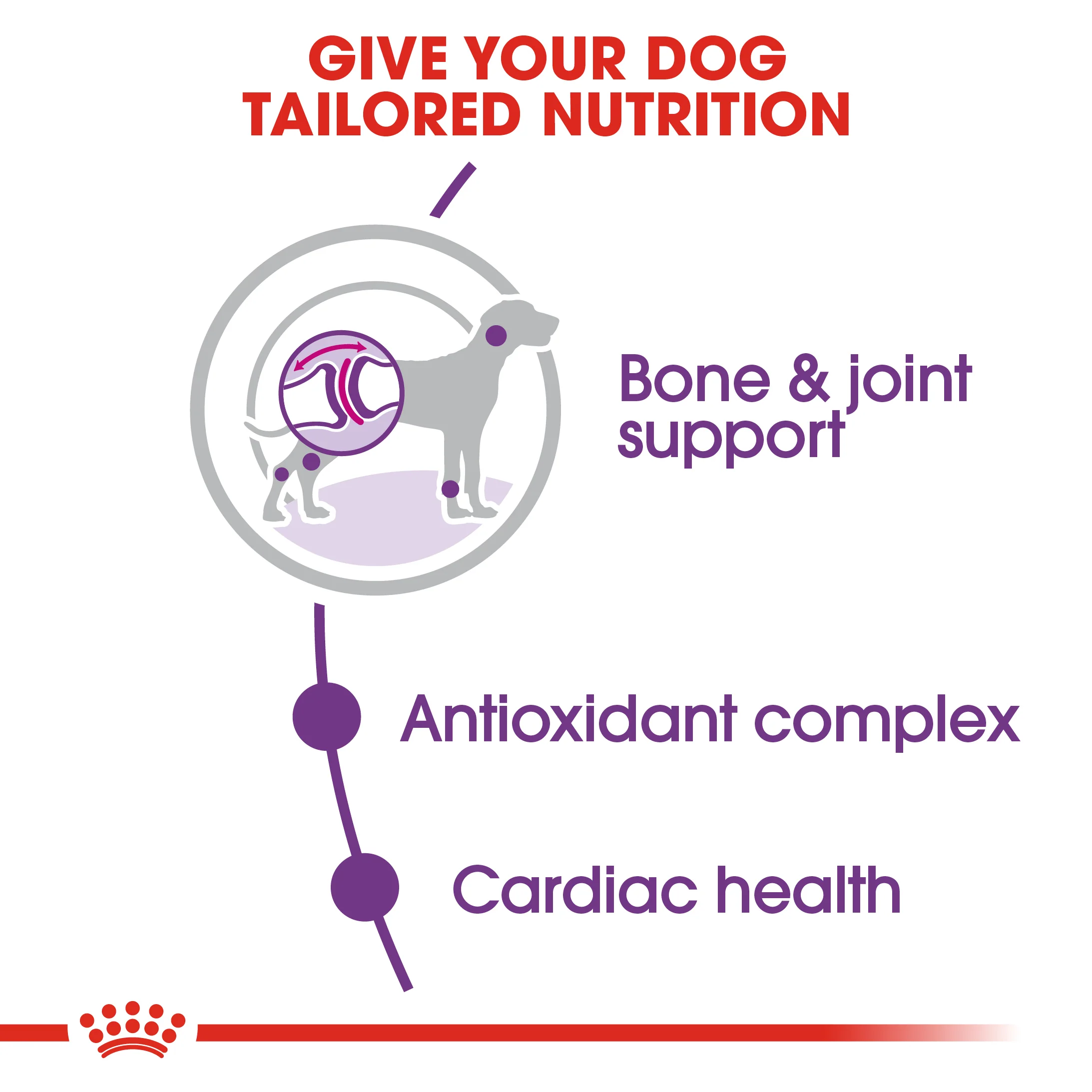 ROYAL CANIN® Giant Adult Dry Dog Food - Image 6