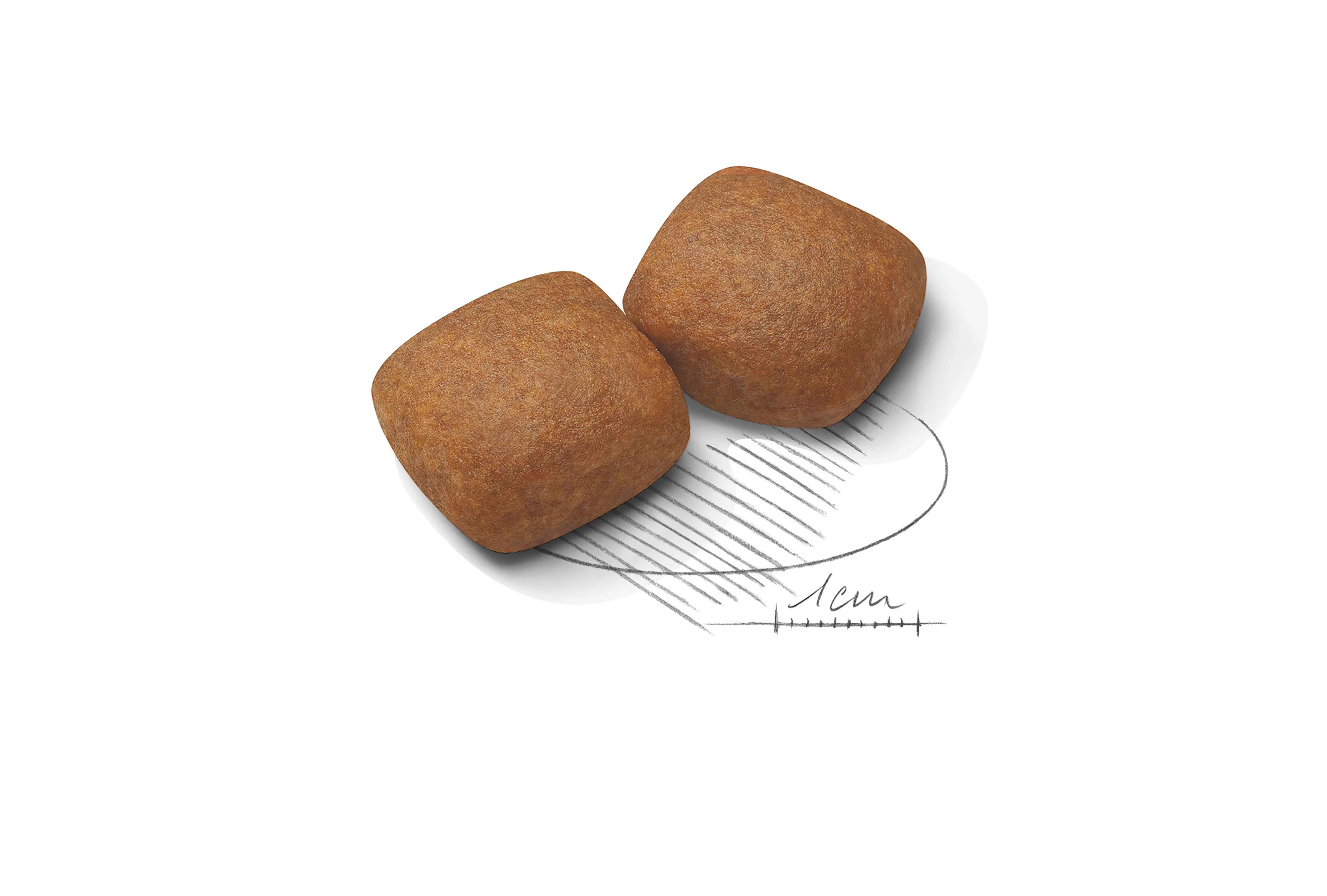 ROYAL CANIN® Giant Junior Puppy Dry Food - Image 10