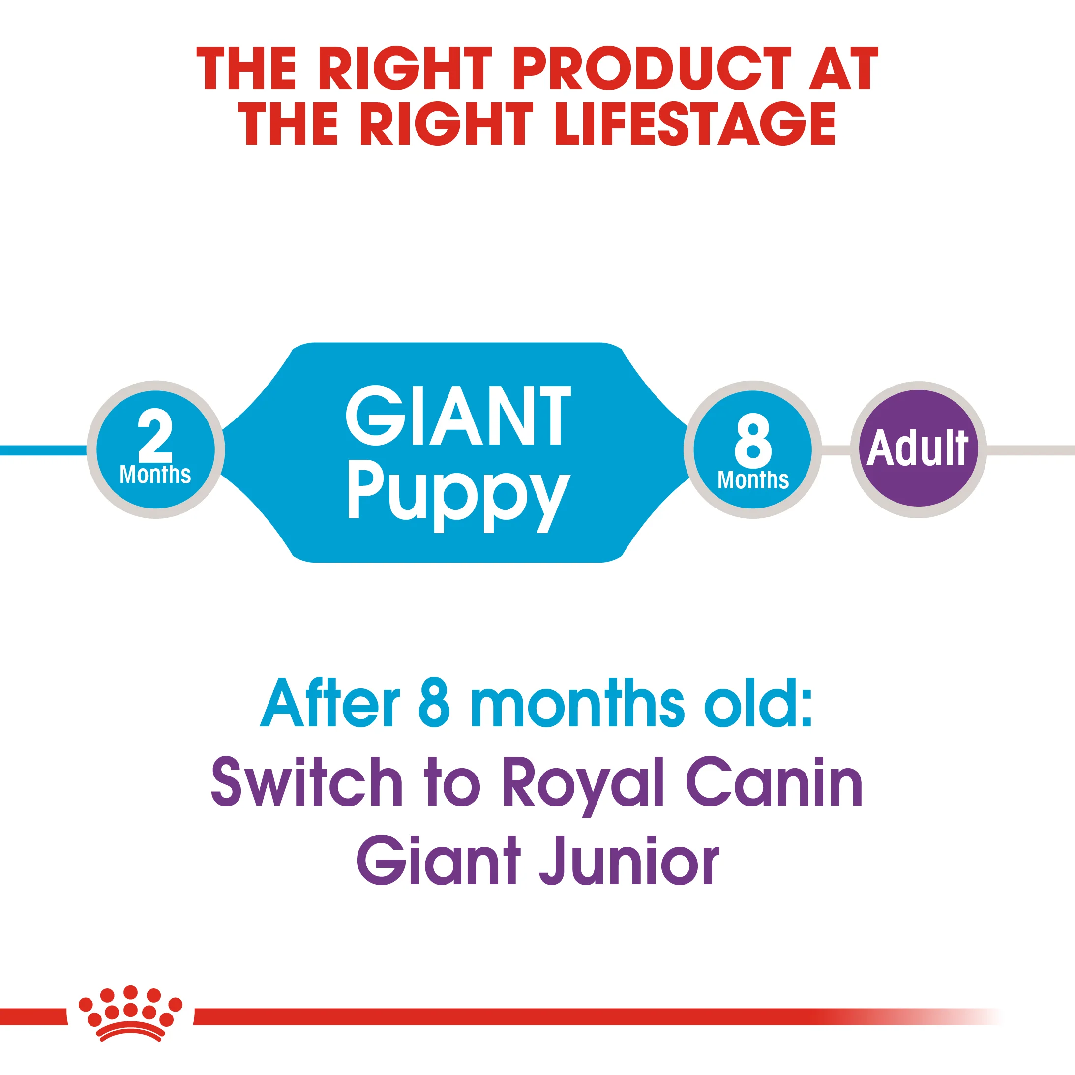 ROYAL CANIN® Giant Puppy Dry Food - Image 5