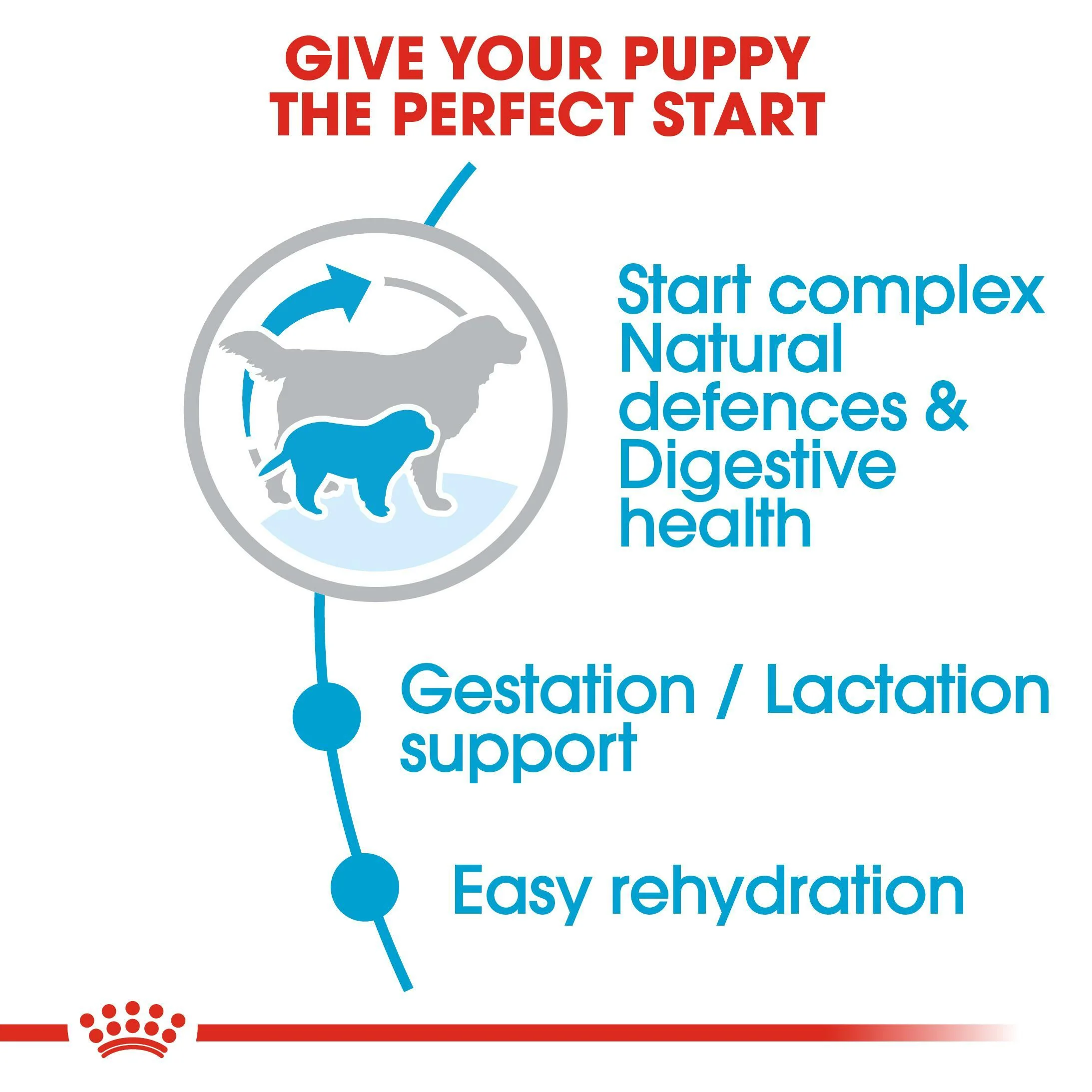 ROYAL CANIN® Giant Starter Mother & Babydog Adult and Puppy Dry Food - Image 3