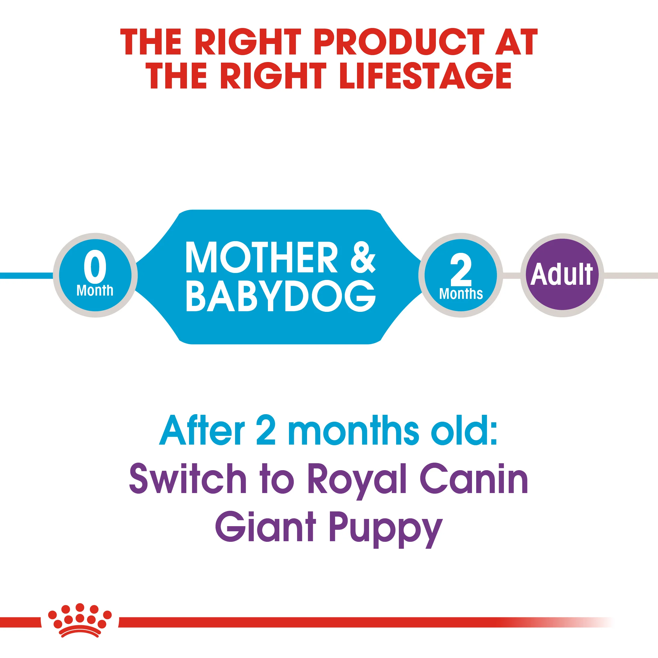 ROYAL CANIN® Giant Starter Mother & Babydog Adult and Puppy Dry Food - Image 6