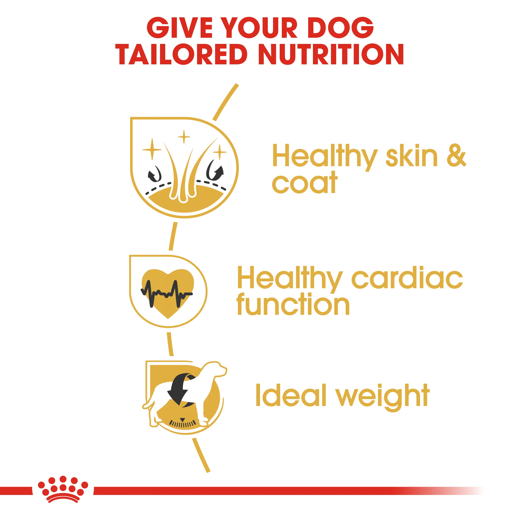 ROYAL CANIN® Golden Retriever Adult Dry Dog Food - Image 6