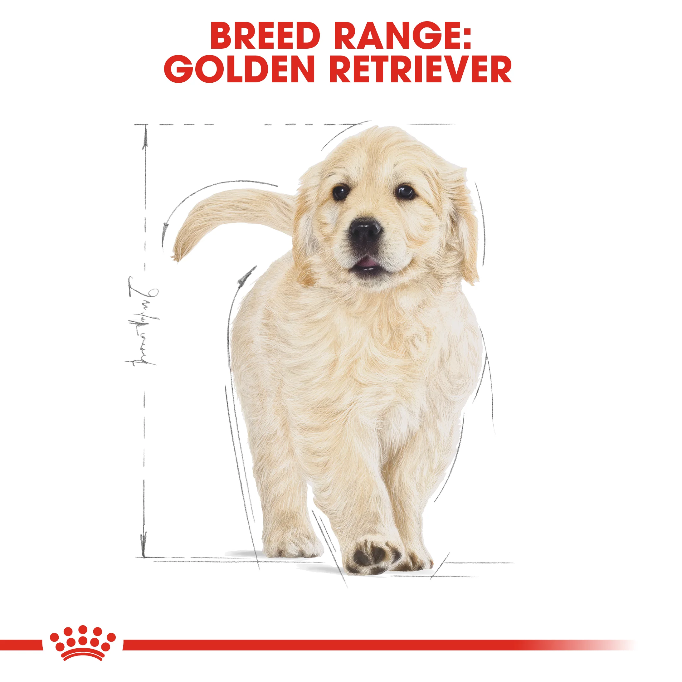 ROYAL CANIN® Golden Retriever Puppy Dry Food - Image 11