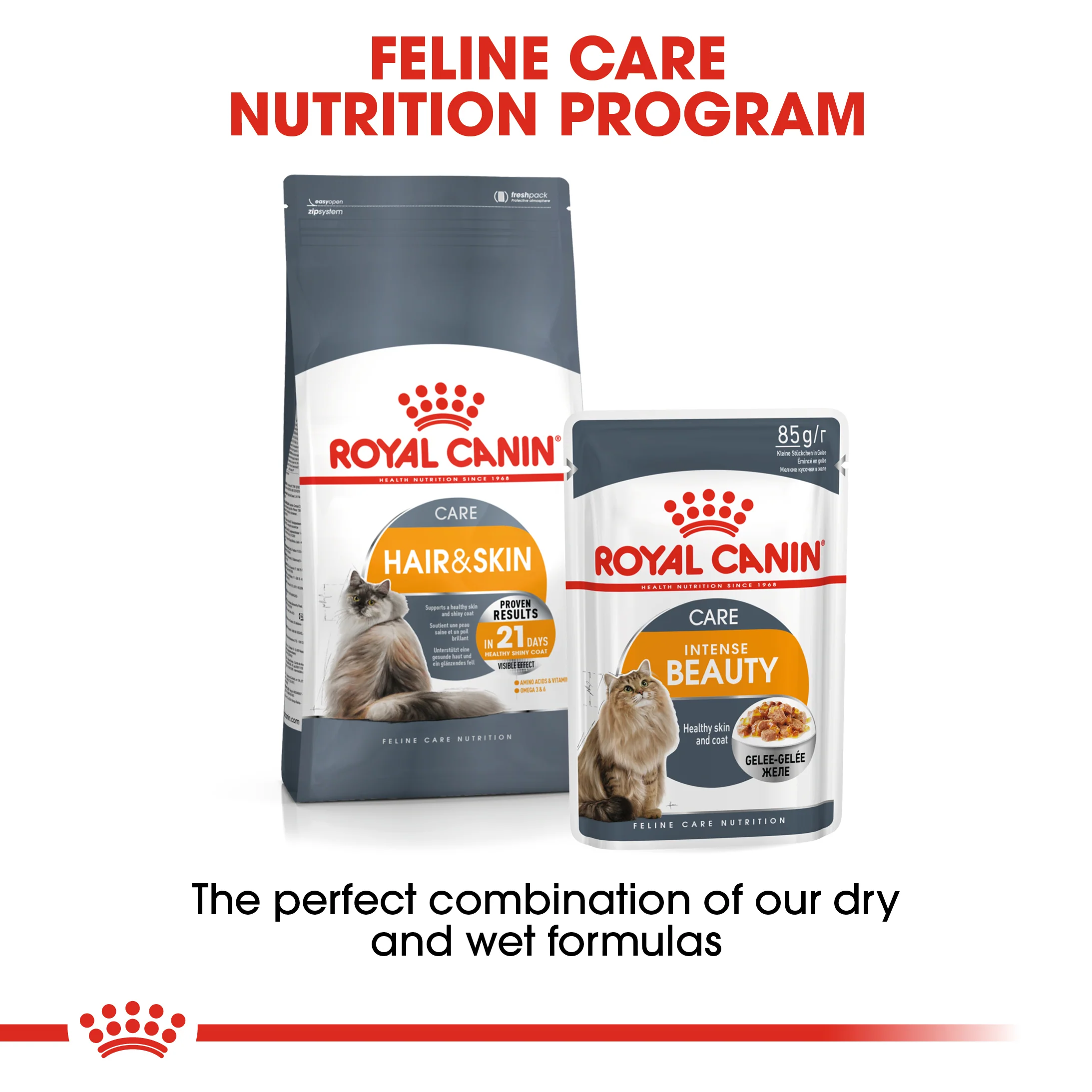 ROYAL CANIN® Hair & Skin Care Adult Dry Cat Food - Image 10