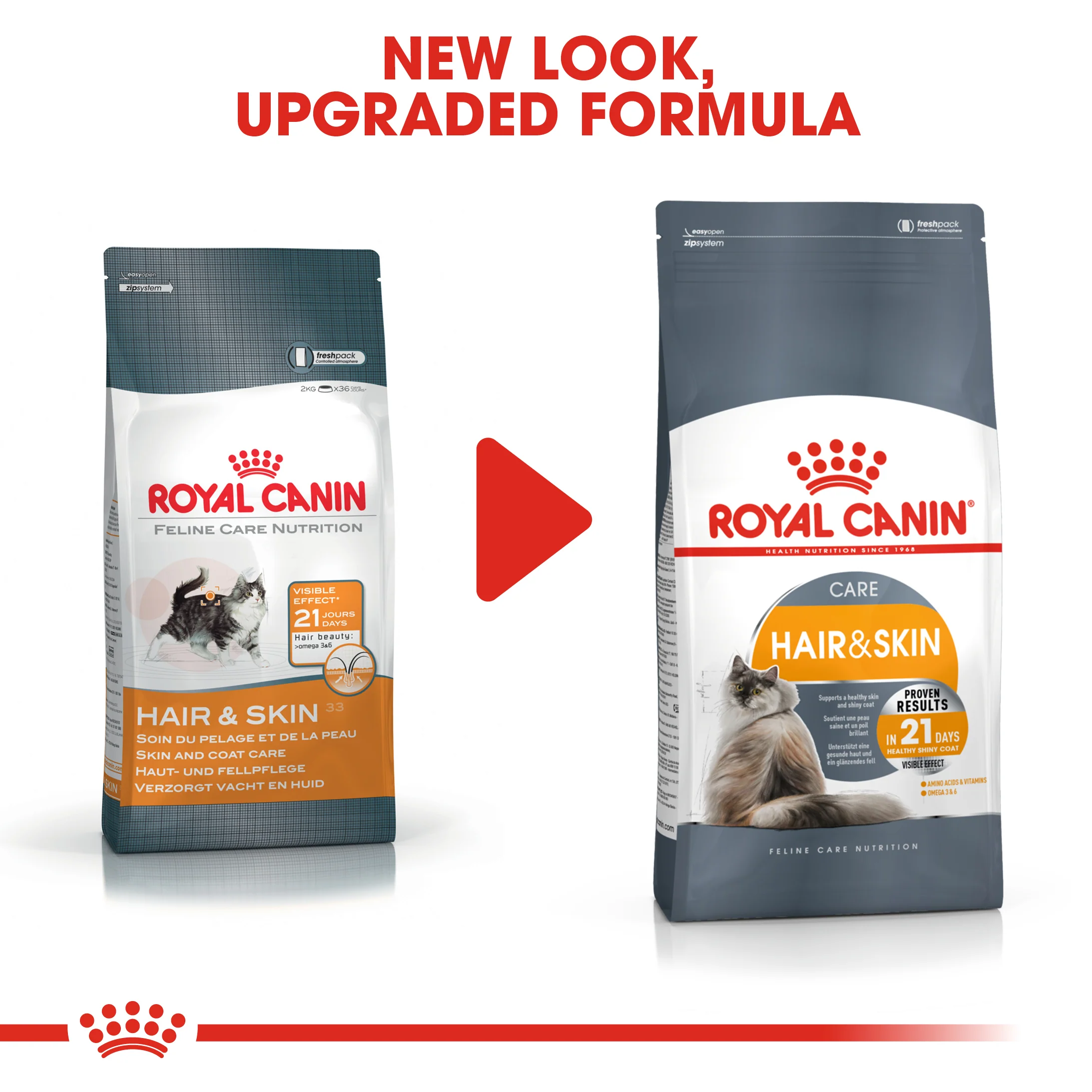 ROYAL CANIN® Hair & Skin Care Adult Dry Cat Food - Image 12