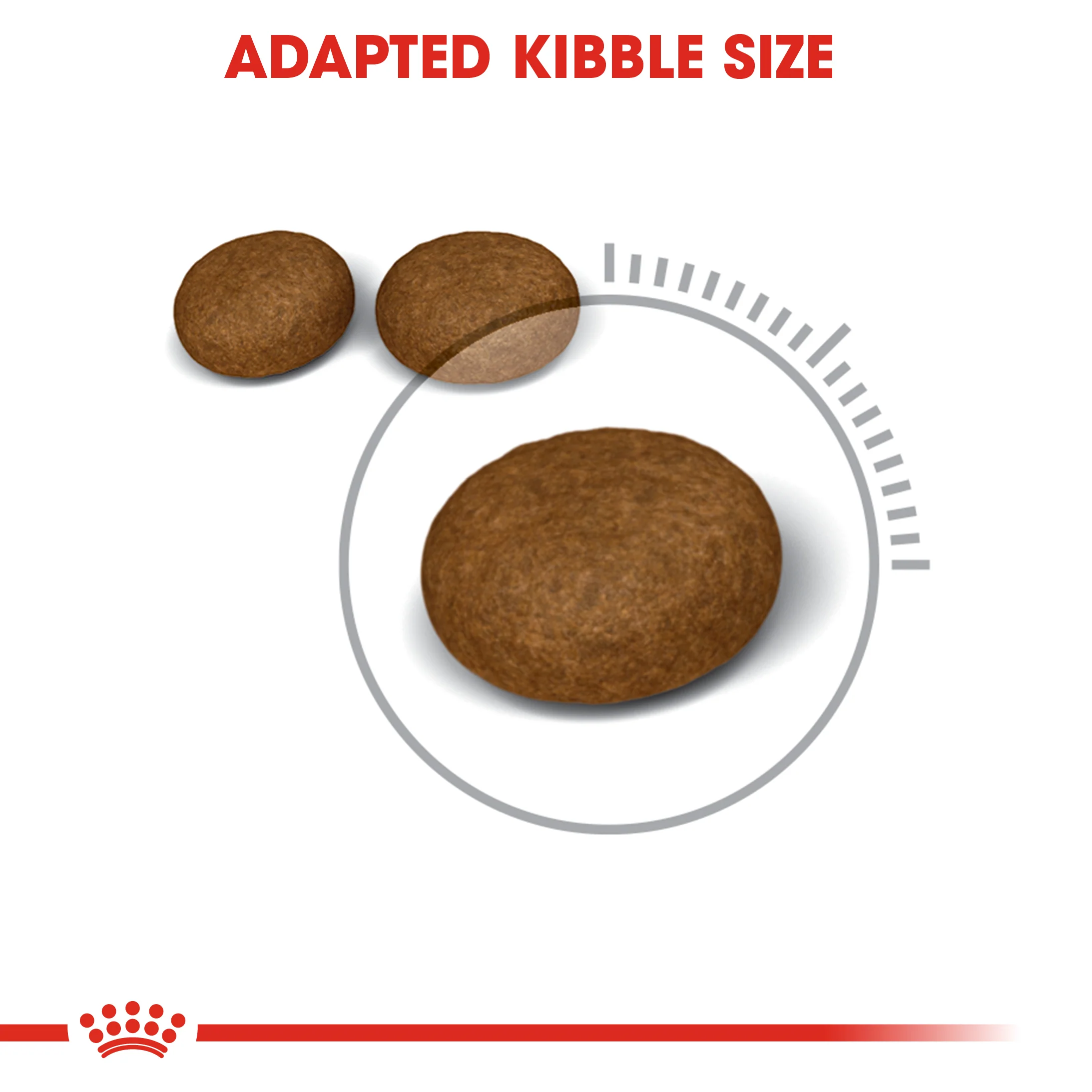 ROYAL CANIN® Hair & Skin Care Adult Dry Cat Food - Image 2