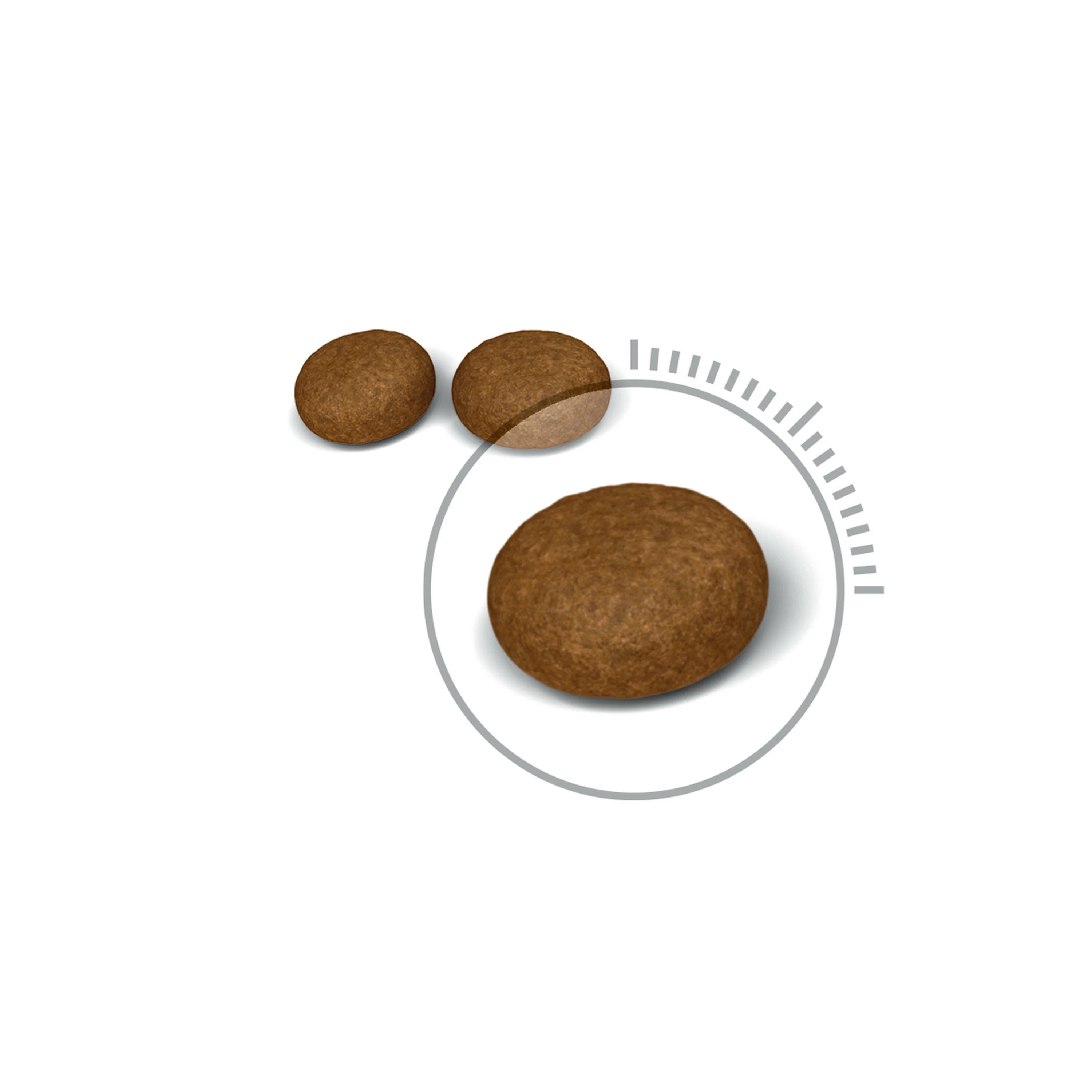 ROYAL CANIN® Hair & Skin Care Adult Dry Cat Food - Image 4
