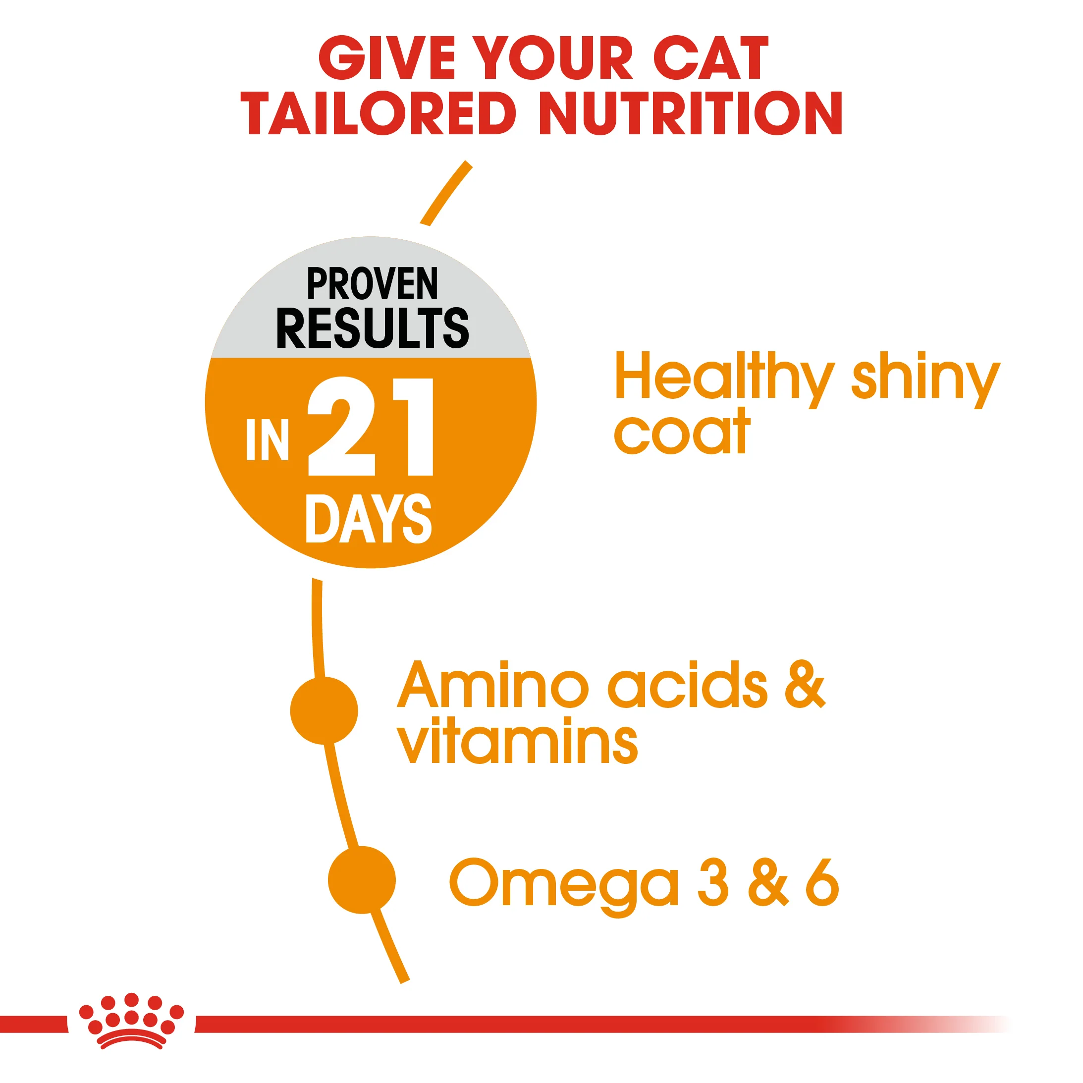 ROYAL CANIN® Hair & Skin Care Adult Dry Cat Food - Image 9