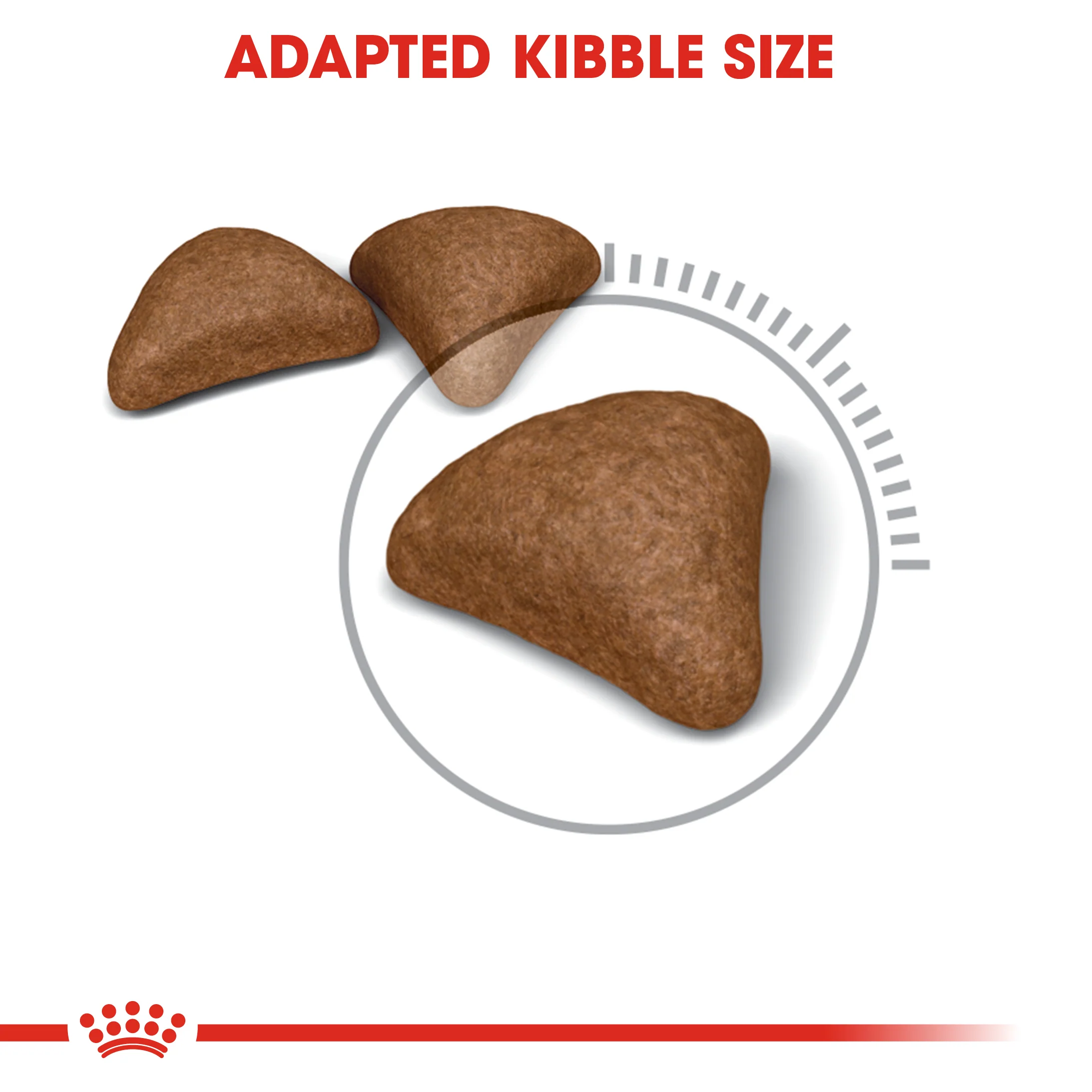 ROYAL CANIN® Hairball Care Adult Dry Cat Food - Image 2