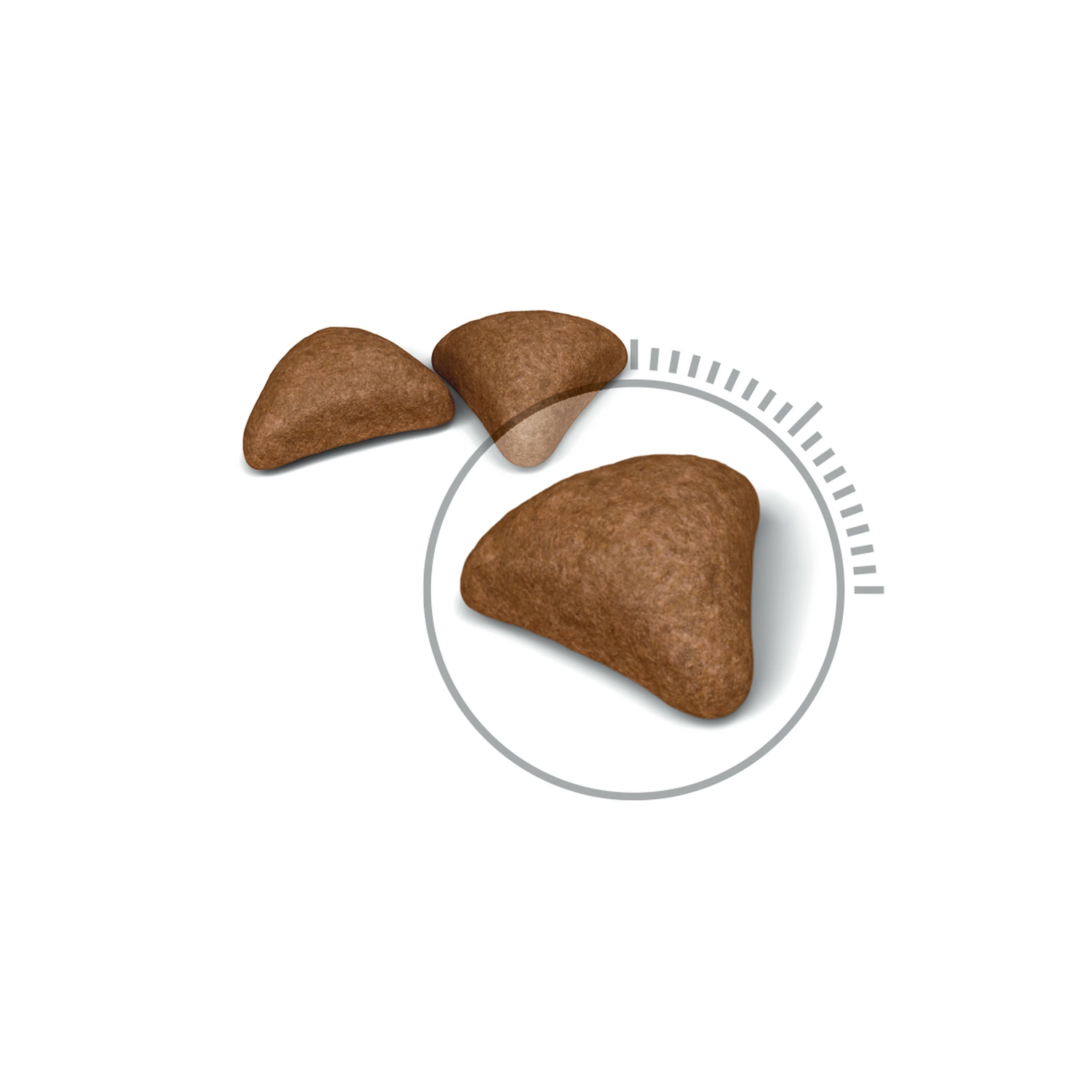 ROYAL CANIN® Hairball Care Adult Dry Cat Food - Image 4