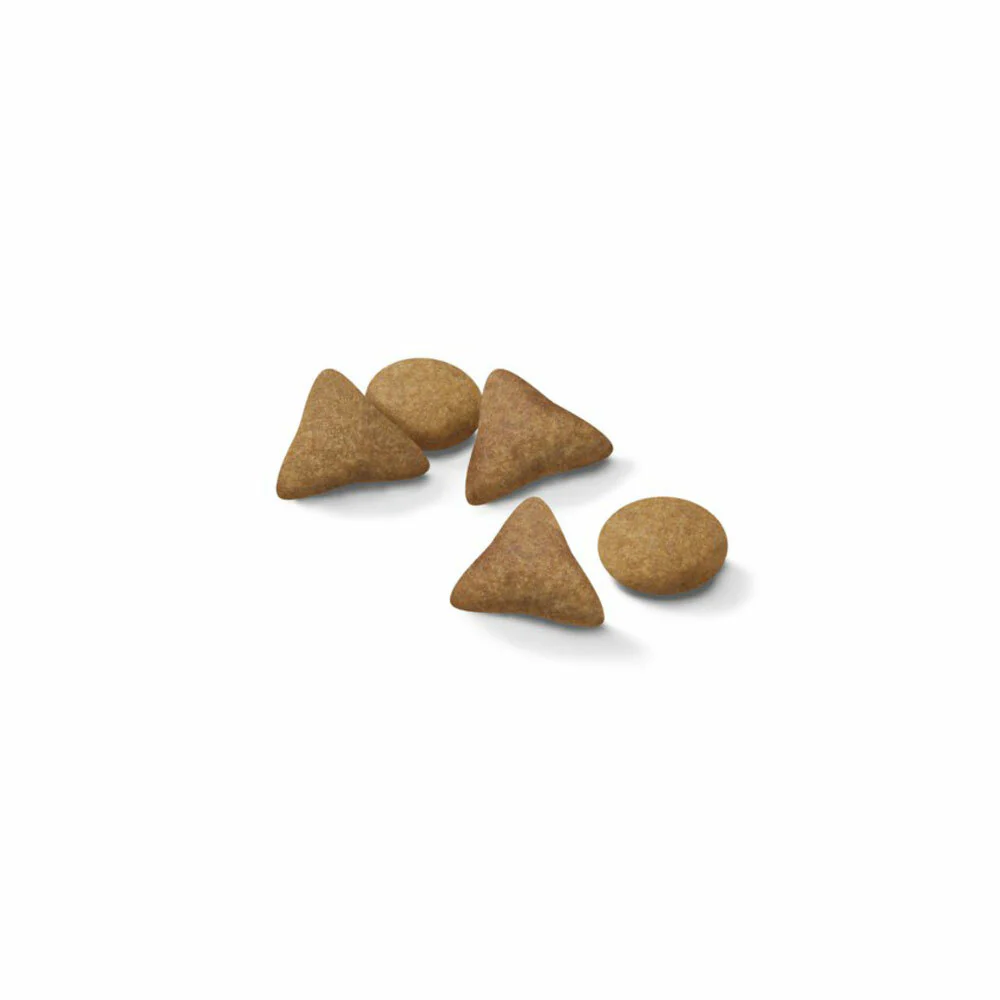 ROYAL CANIN® Indoor Appetite Control Adult Dry Cat Food - Image 3