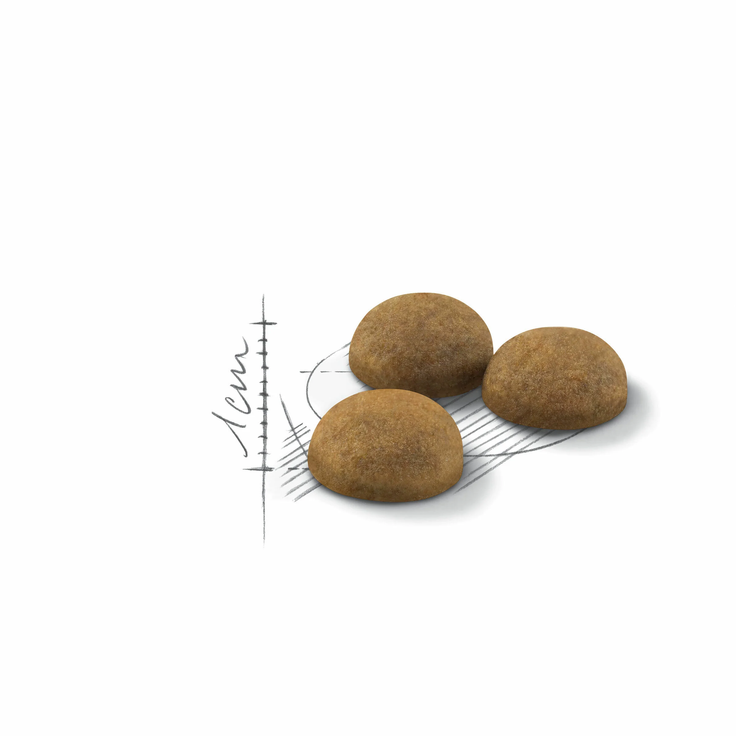 ROYAL CANIN® Indoor Long Hair Adult Dry Cat Food - Image 5