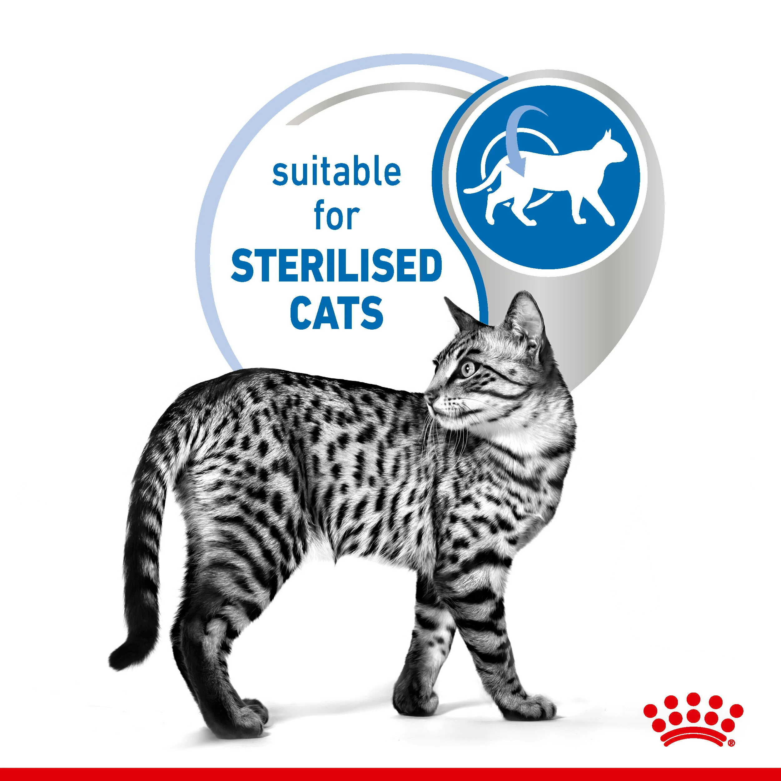 ROYAL CANIN® Indoor Sterilised In Gravy Adult Wet Cat Food - Image 9