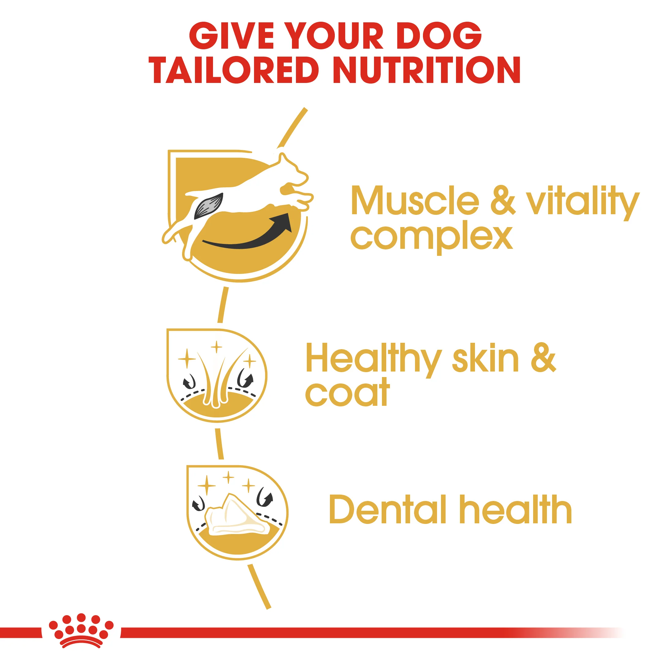 ROYAL CANIN® Jack Russell Terrier Adult Dry Dog Food - Image 6