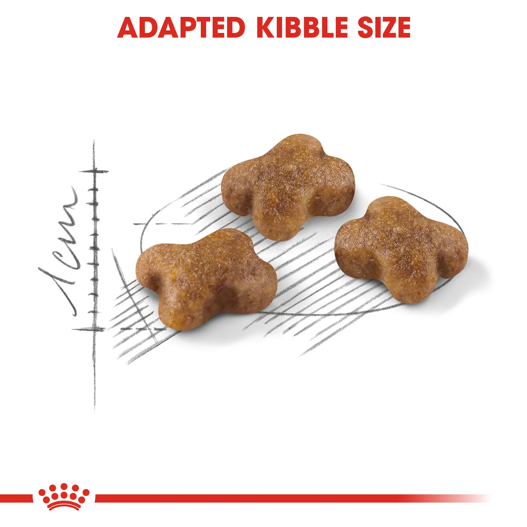 ROYAL CANIN® Kitten Dry Food - Image 2