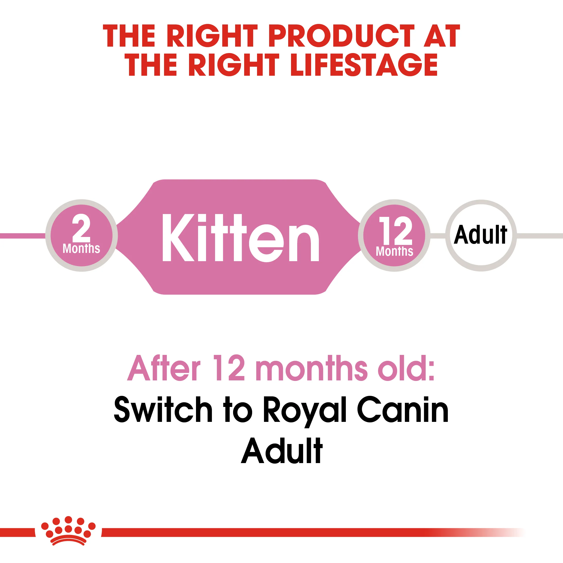 ROYAL CANIN® Kitten Dry Food - Image 6