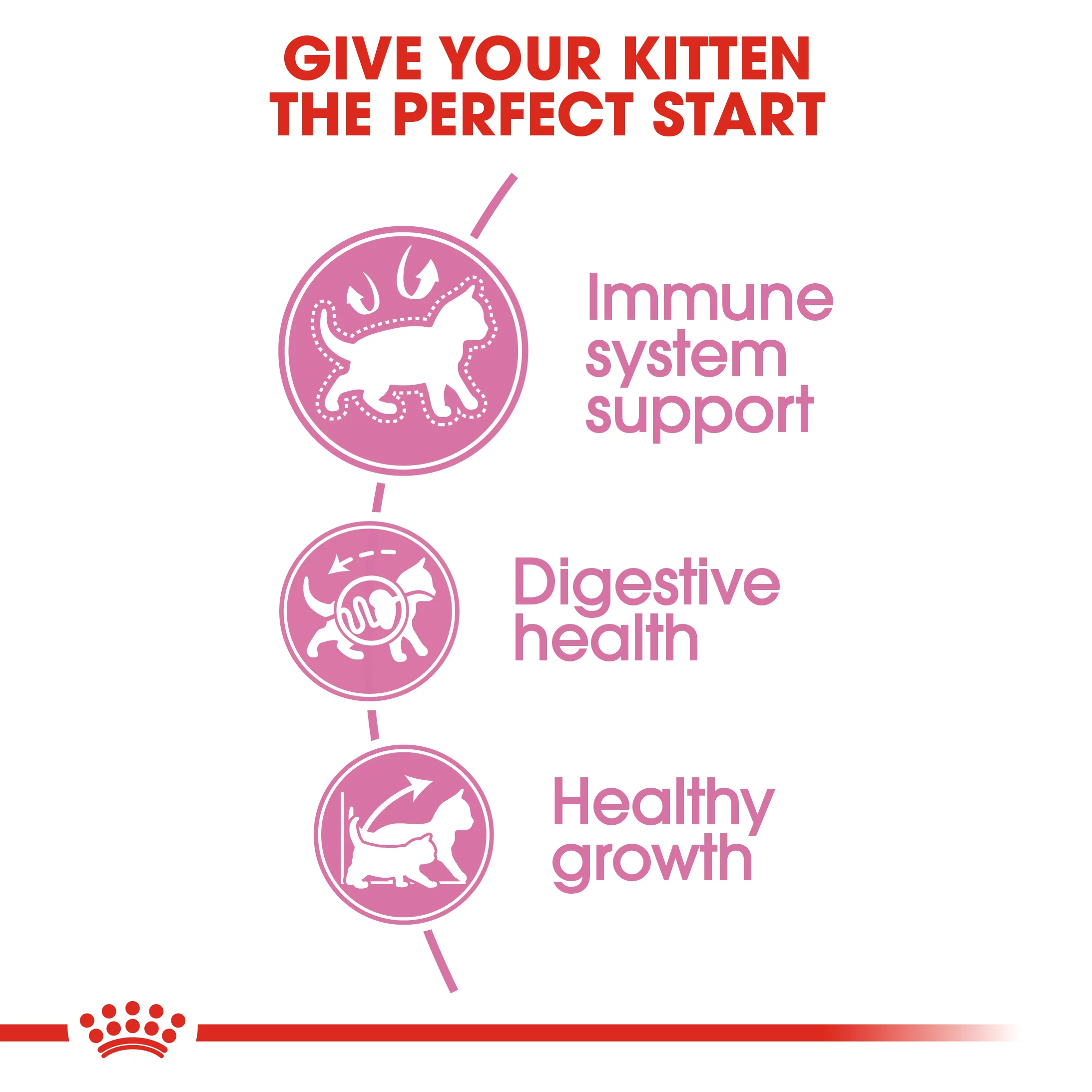 ROYAL CANIN® Kitten Dry Food - Image 7
