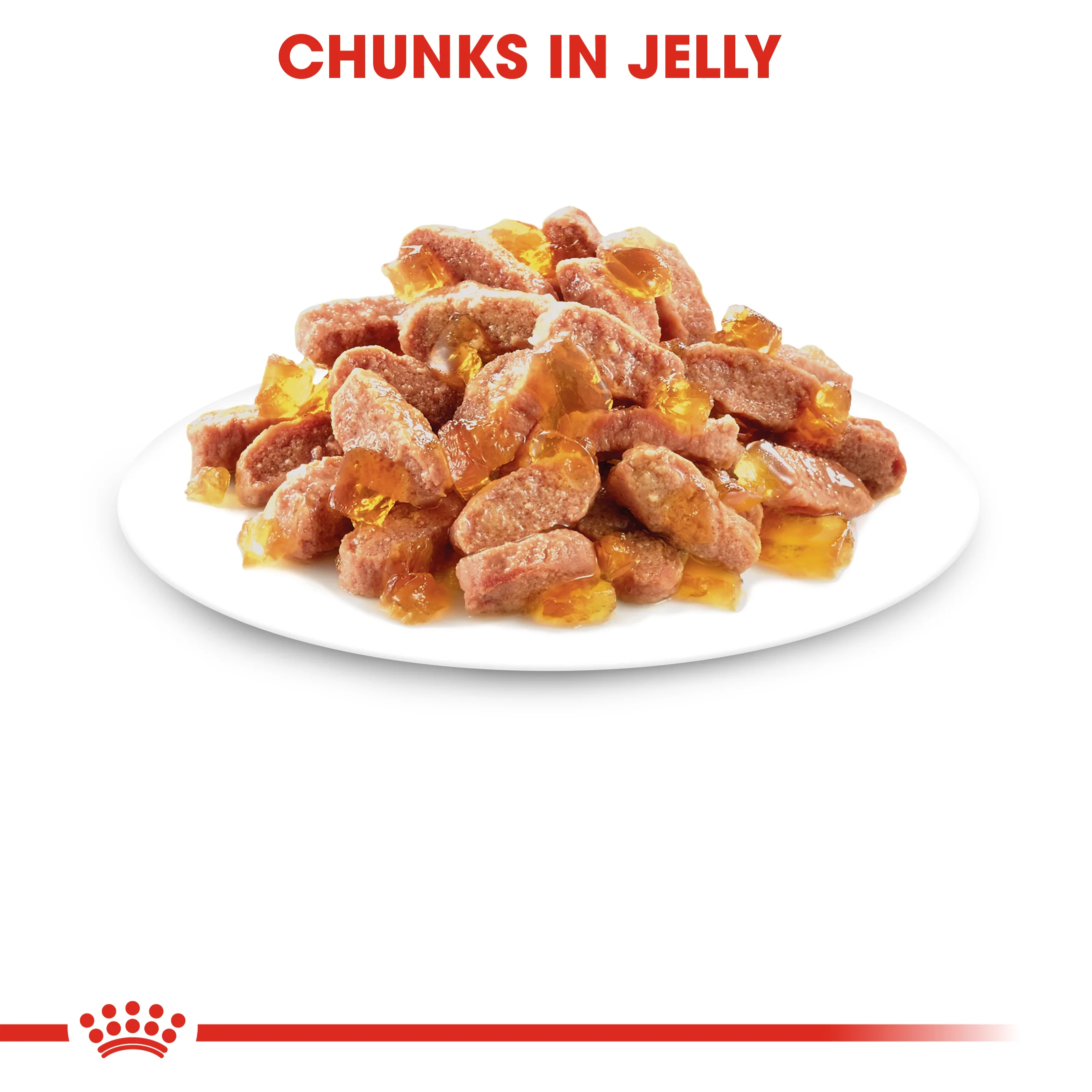 ROYAL CANIN® Kitten In Jelly Wet Food - Image 2