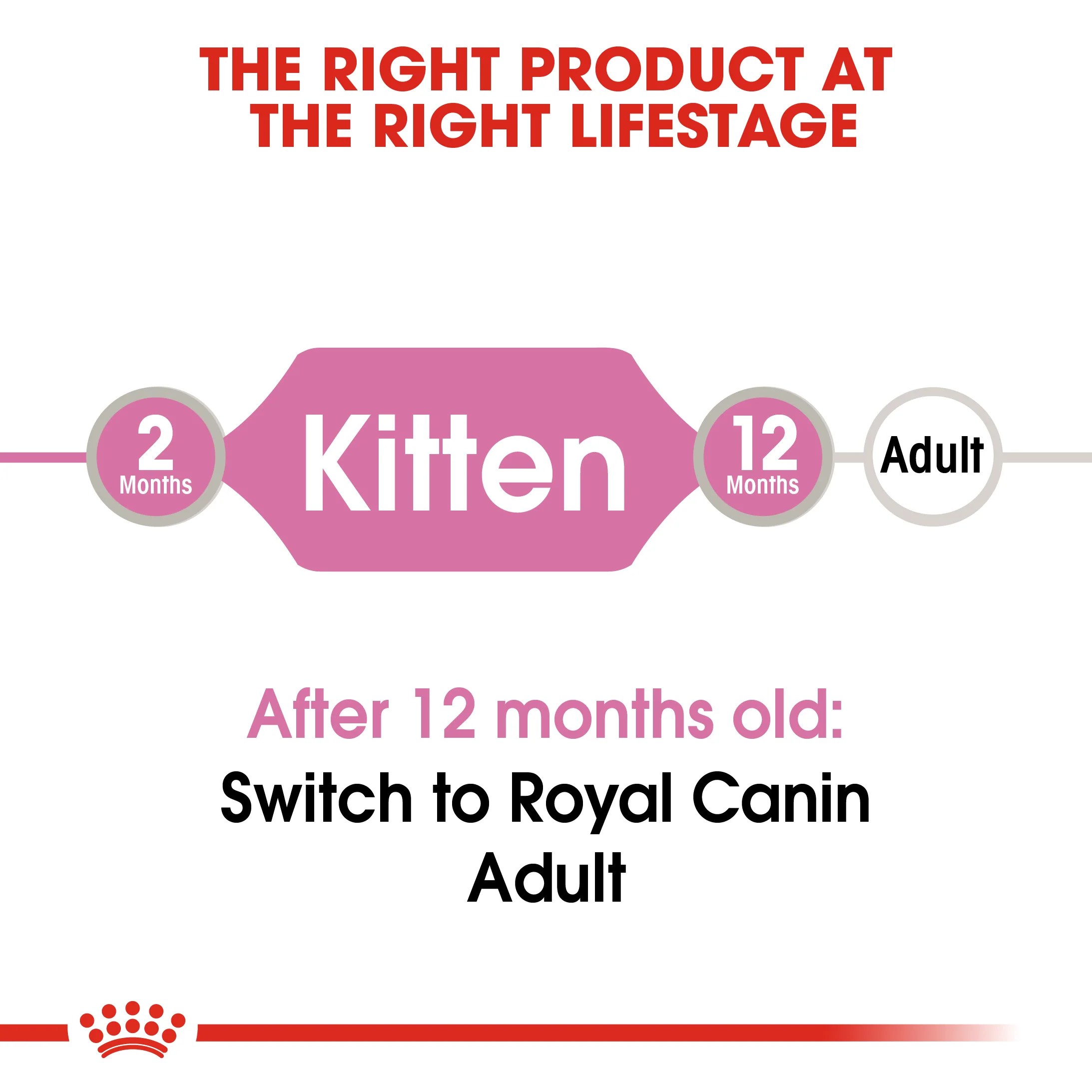 ROYAL CANIN® Kitten in Loaf Wet Food - Image 10
