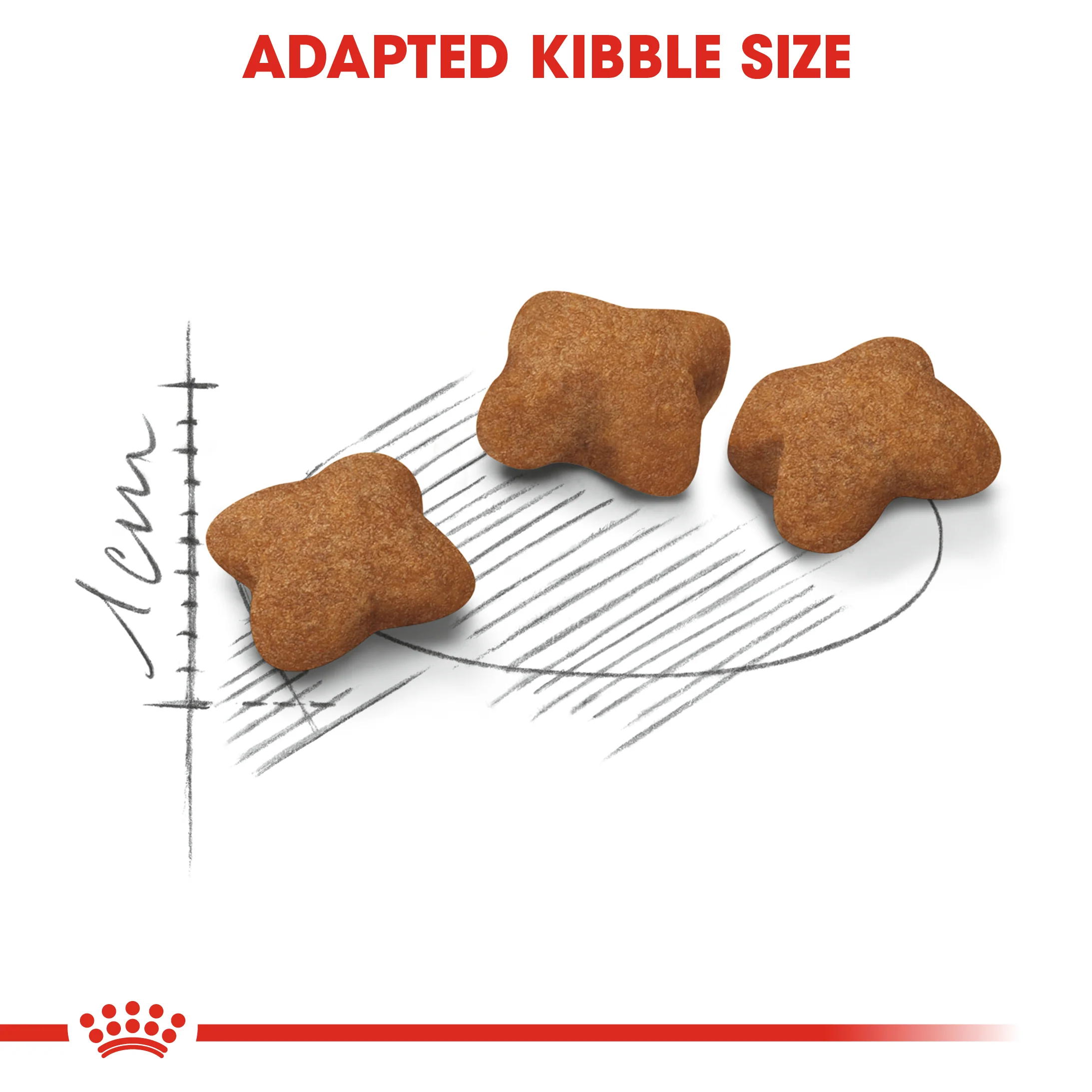 ROYAL CANIN® Kitten Sterilised Dry Food - Image 2