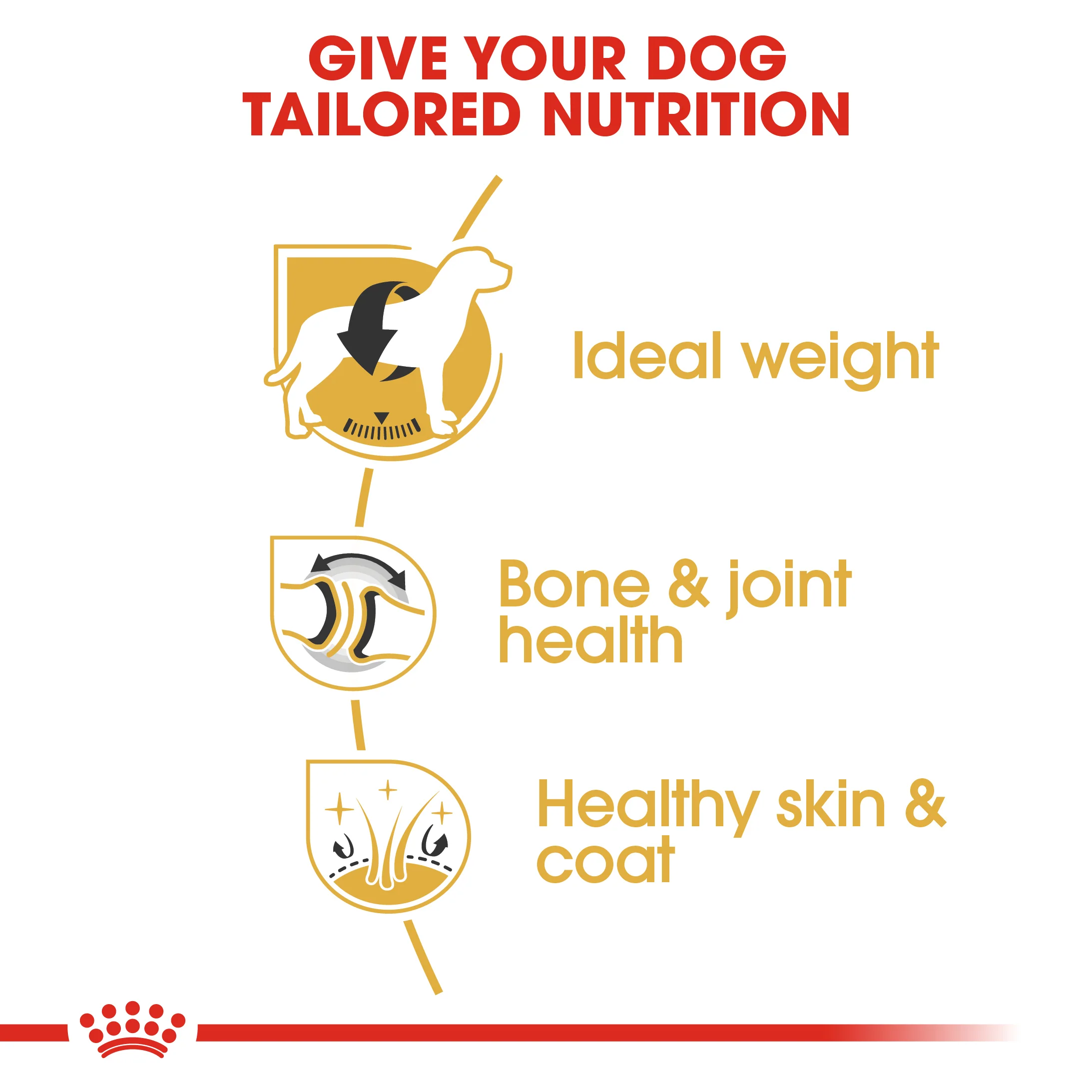 ROYAL CANIN® Labrador Retriever Adult Dry Dog Food - Image 6