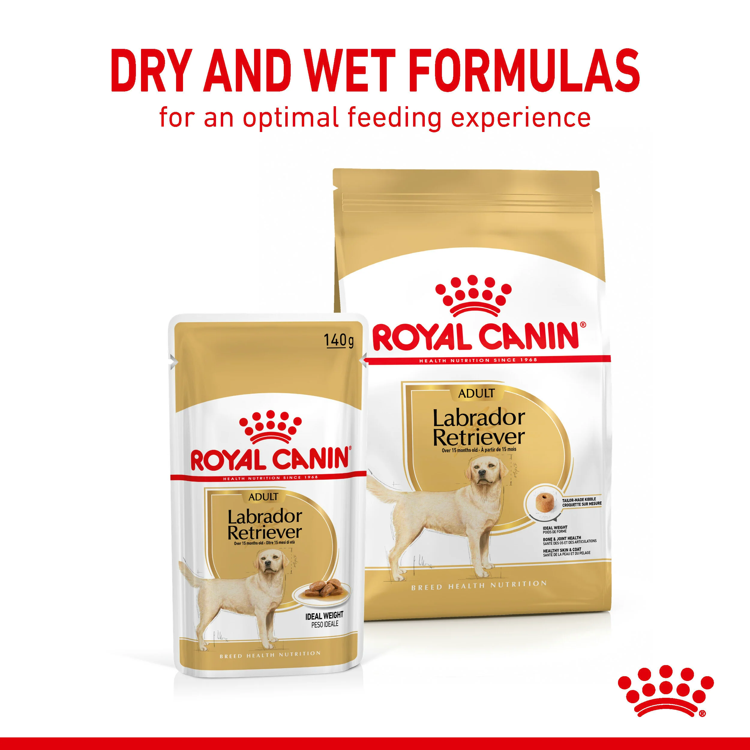 ROYAL CANIN® Labrador Retriever Adult in Gravy Wet Dog Food - Image 10