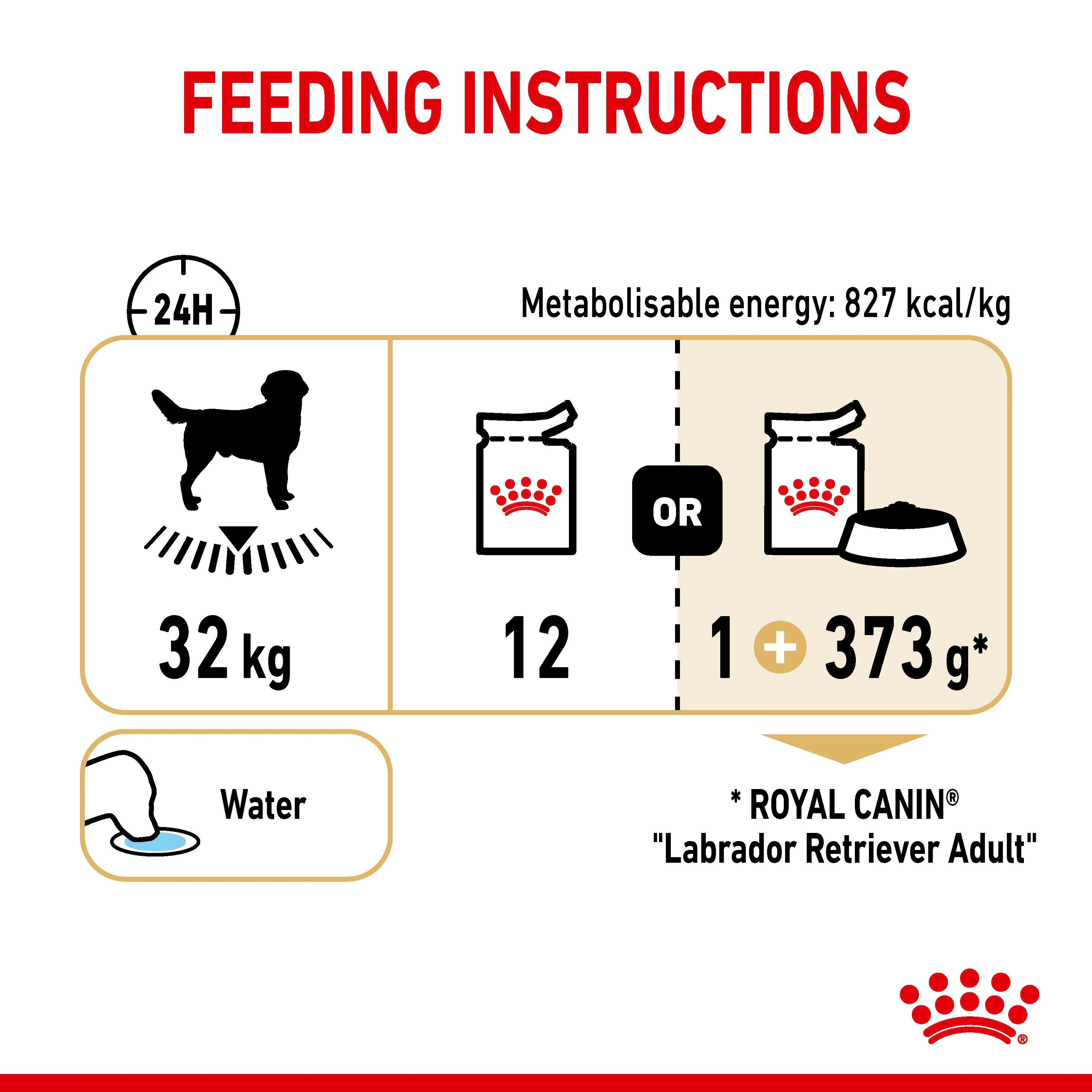 ROYAL CANIN® Labrador Retriever Adult in Gravy Wet Dog Food - Image 11