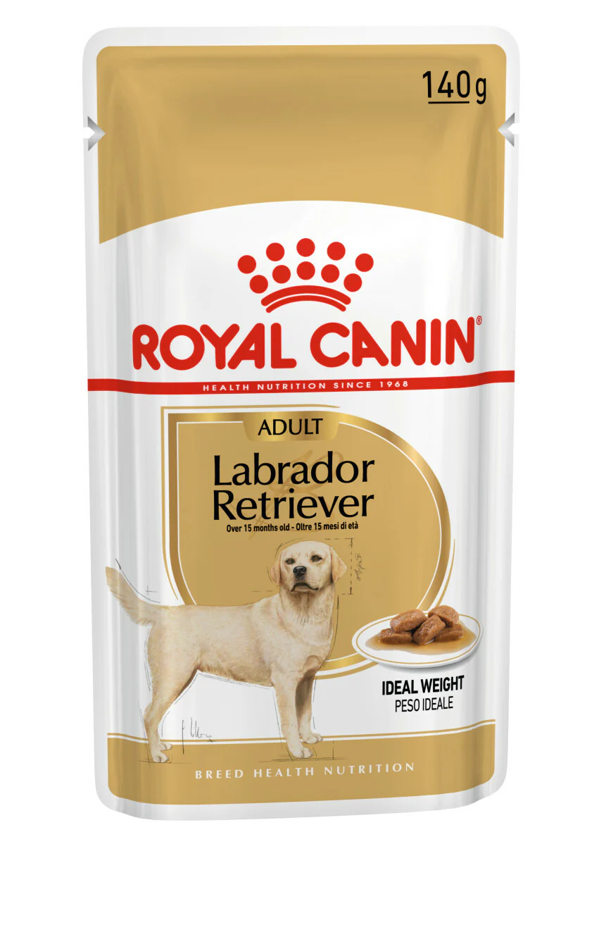 ROYAL CANIN® Labrador Retriever Adult in Gravy Wet Dog Food - Image 3