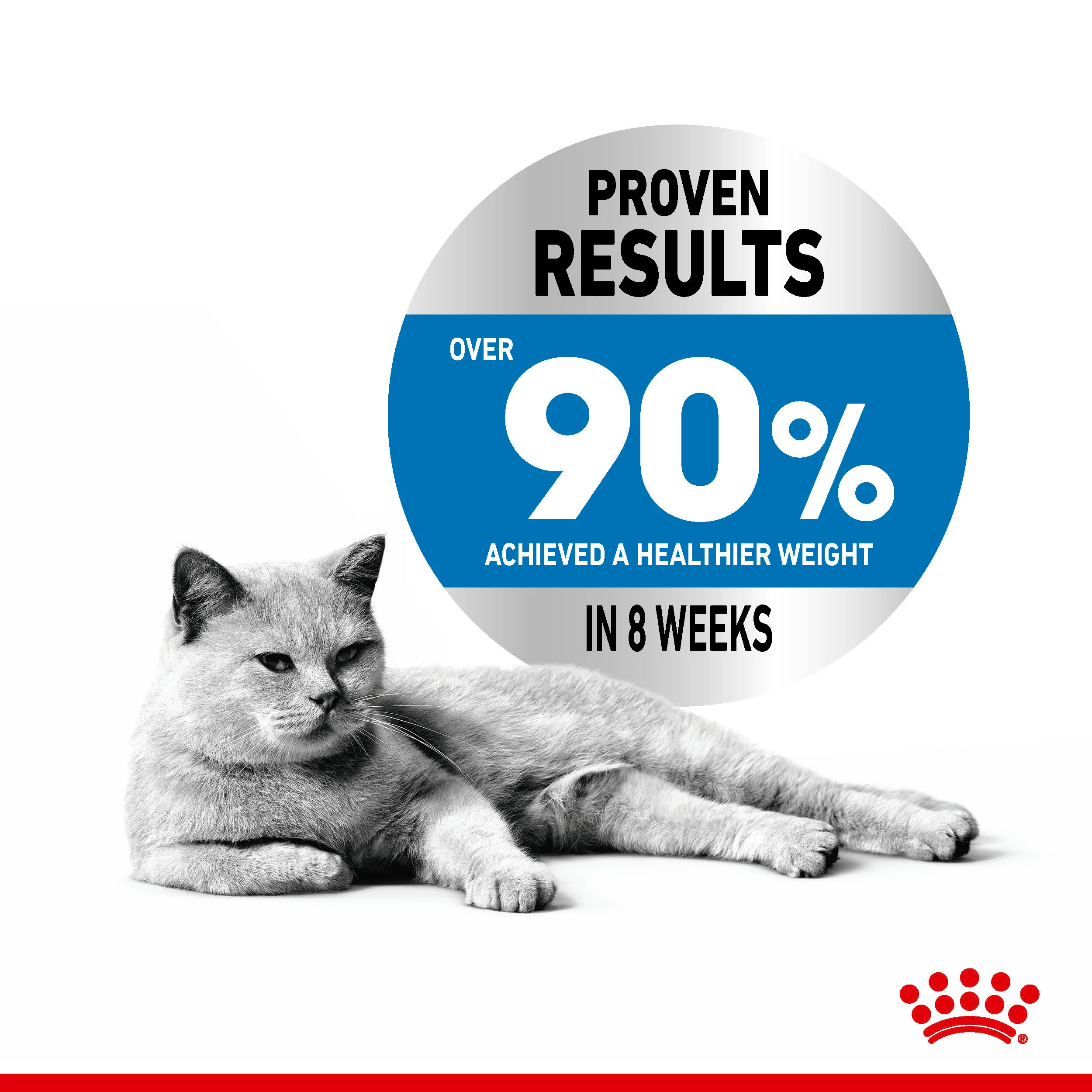 ROYAL CANIN® Light Weight Care Adult Dry Cat Food - Image 8