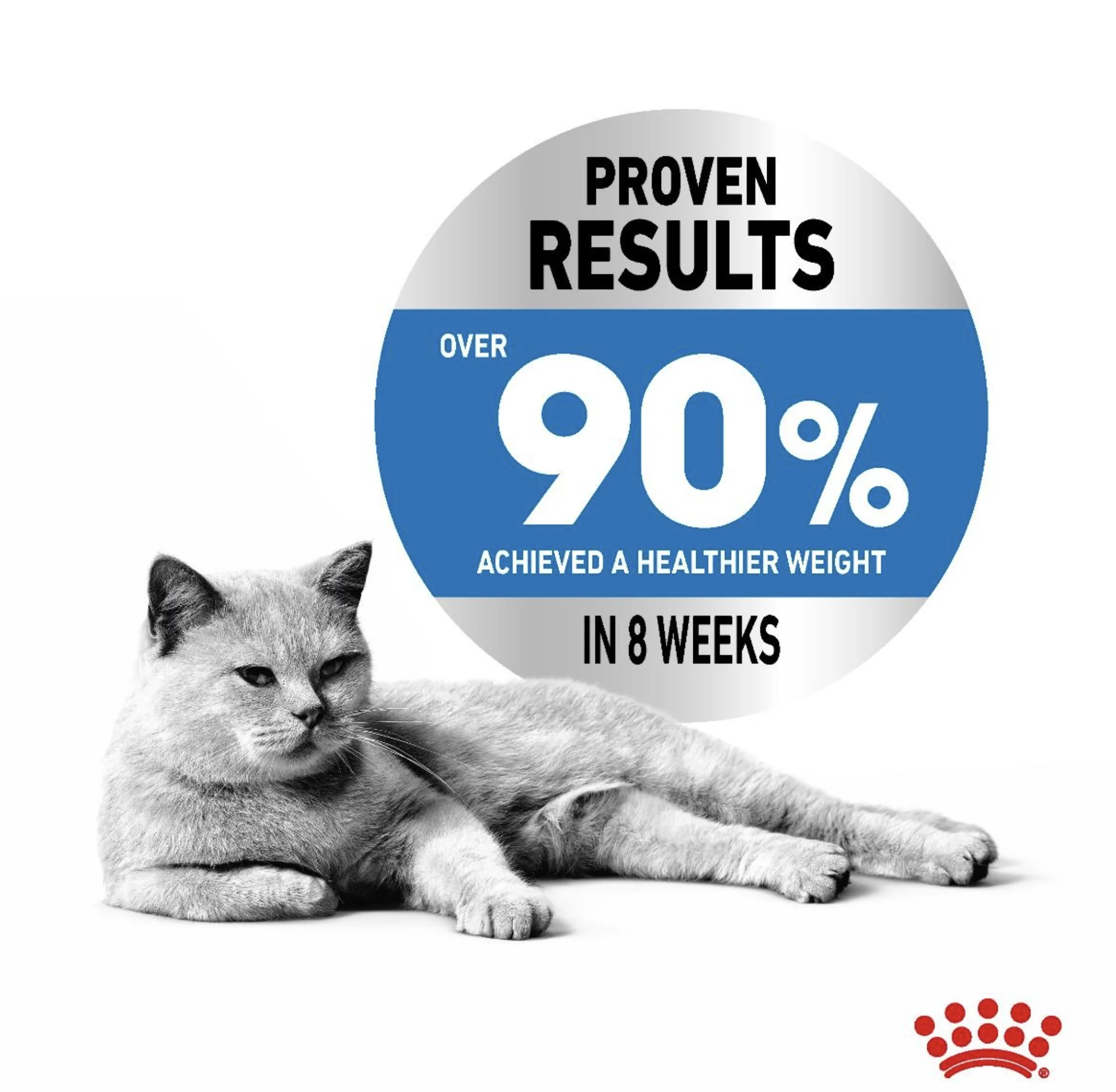 ROYAL CANIN® Light Weight Care in Gravy Adult Wet Cat Food - Image 4