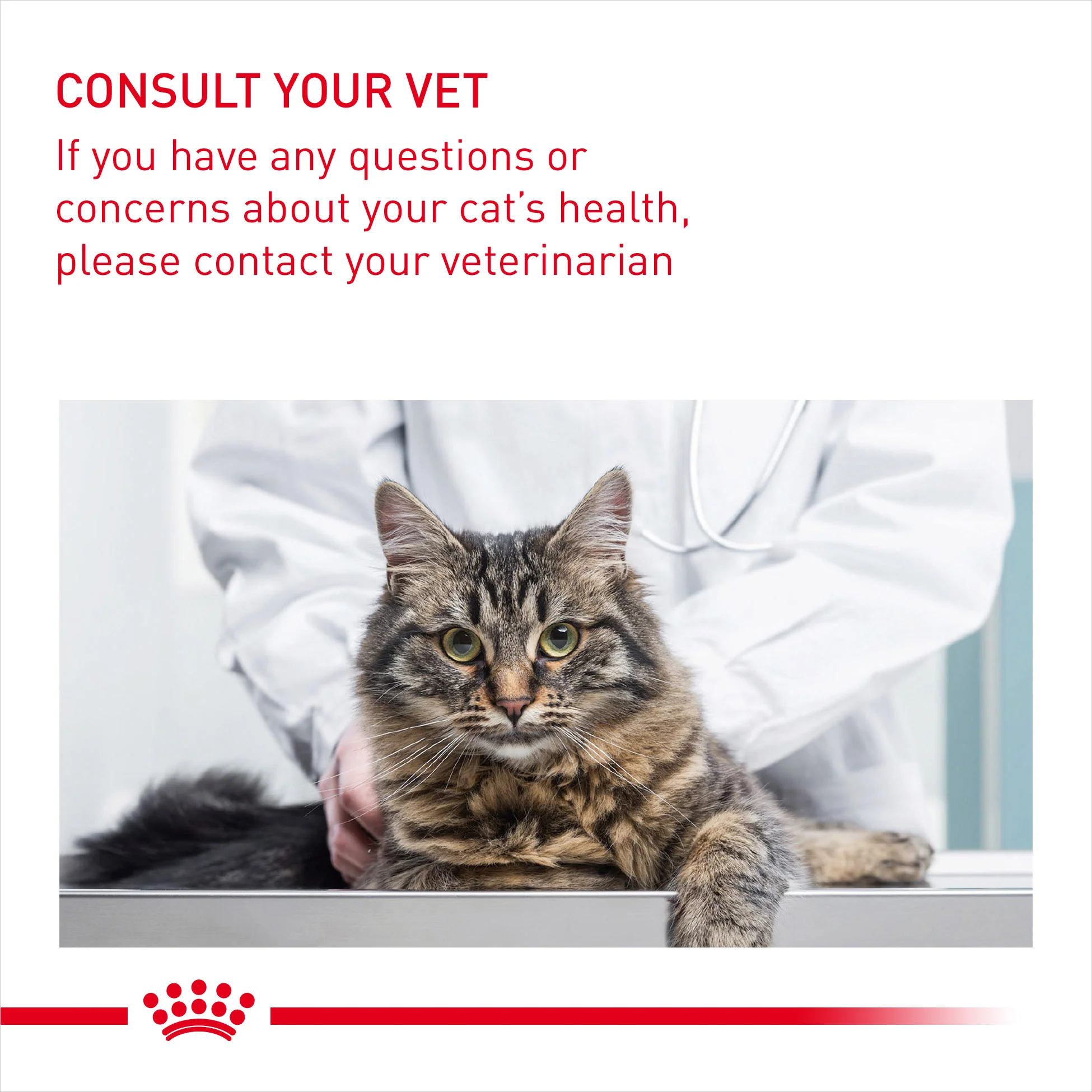 ROYAL CANIN® Light Weight Care in Jelly Adult Wet Cat Food - Image 3