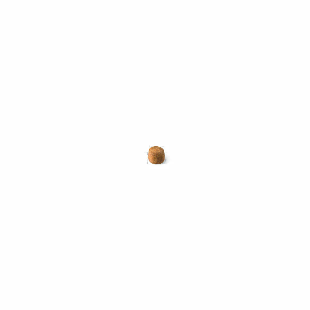 ROYAL CANIN® Maine Coon Adult Dry Cat Food - Image 3