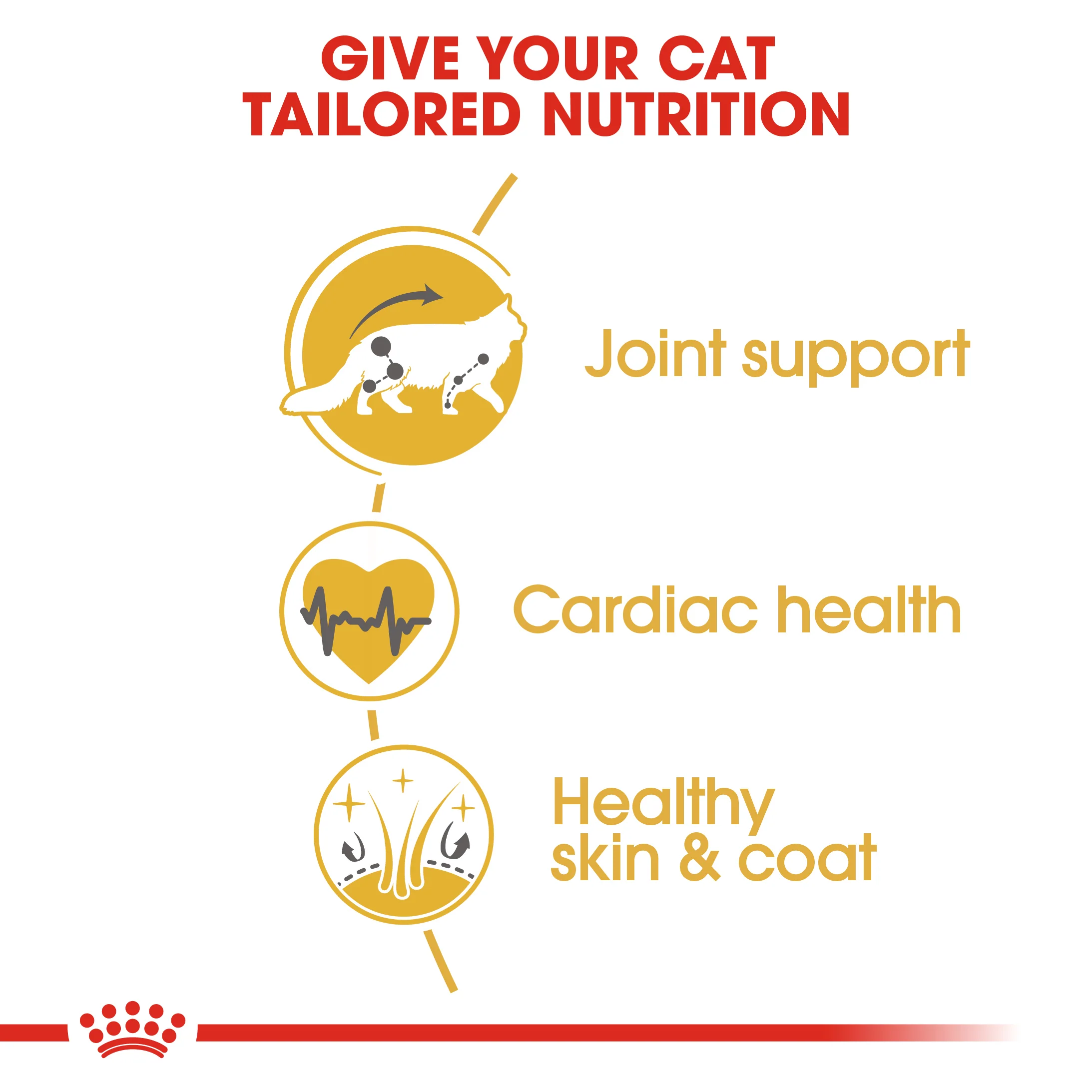 ROYAL CANIN® Maine Coon Adult Dry Cat Food - Image 6