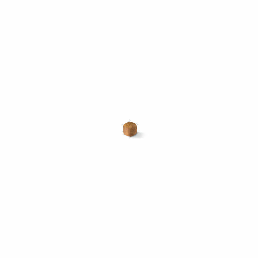 ROYAL CANIN® Maine Coon Kitten Dry Food - Image 3