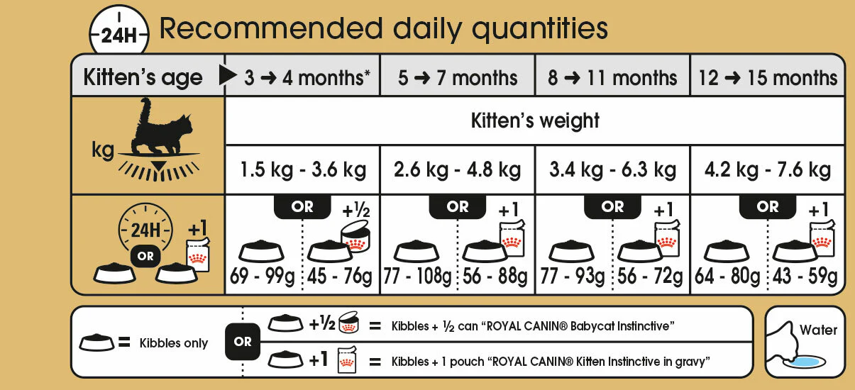 ROYAL CANIN® Maine Coon Kitten Dry Food - Image 4