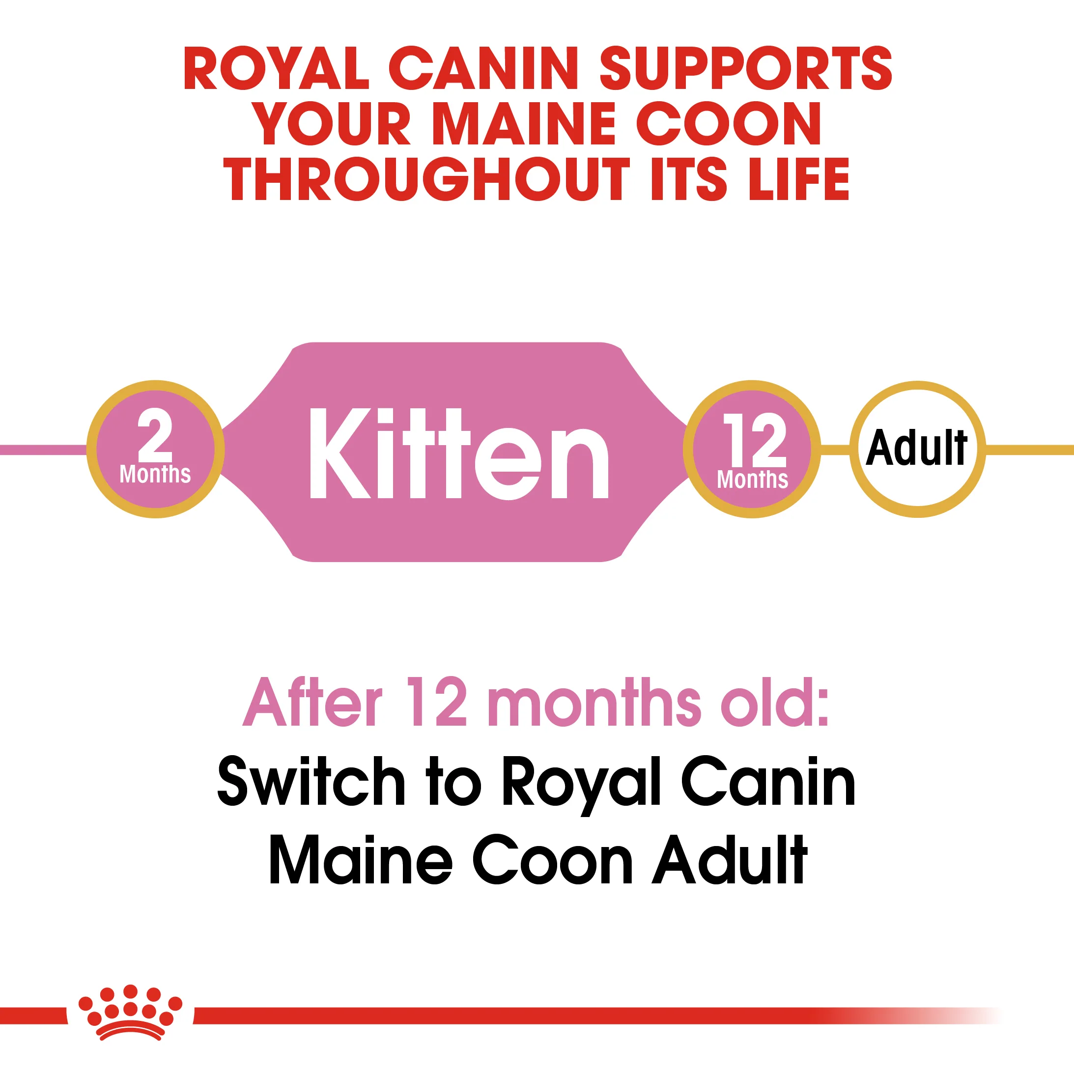 ROYAL CANIN® Maine Coon Kitten Dry Food - Image 7