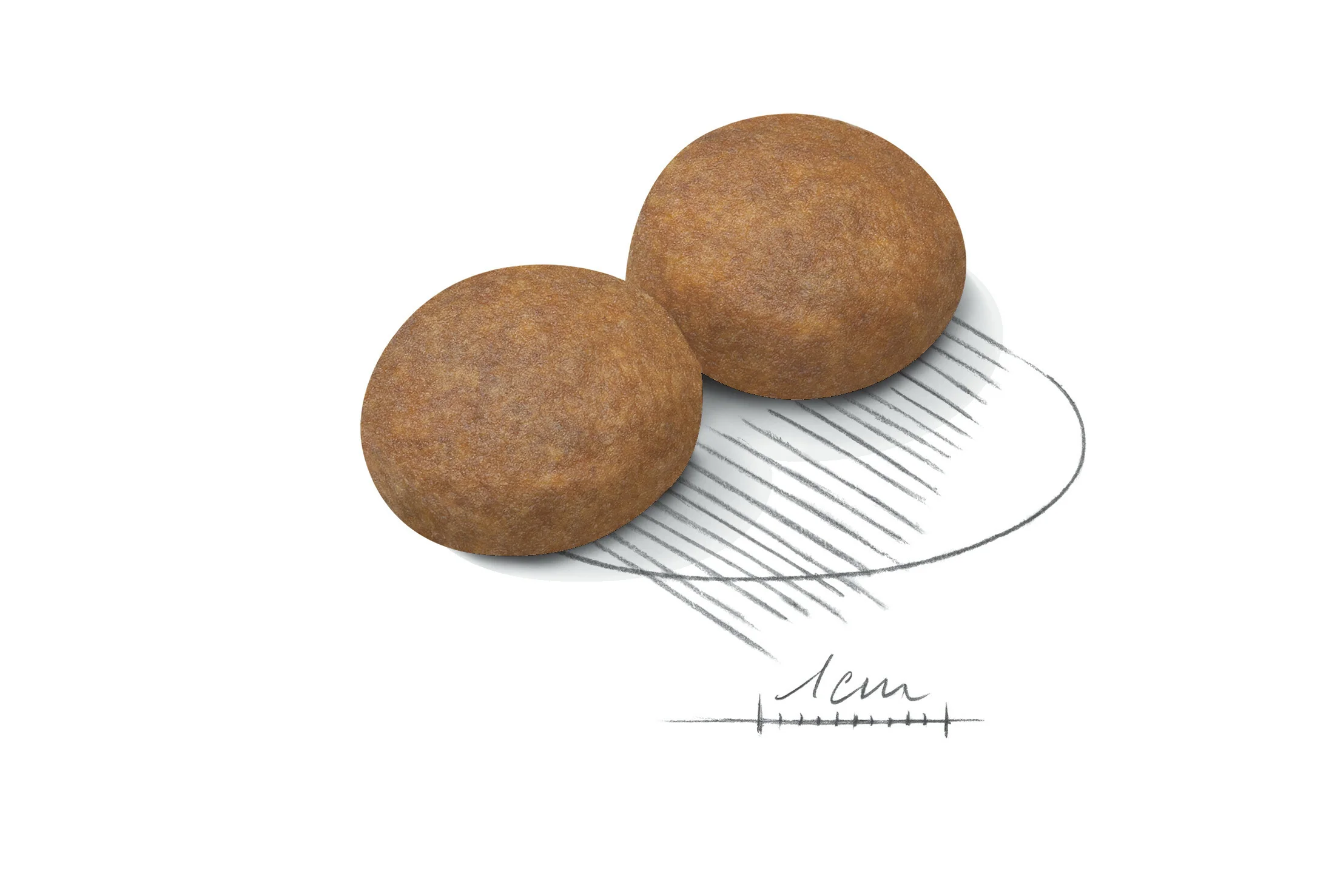 ROYAL CANIN® Maxi Adult 5+ Dry Dog Food - Image 3