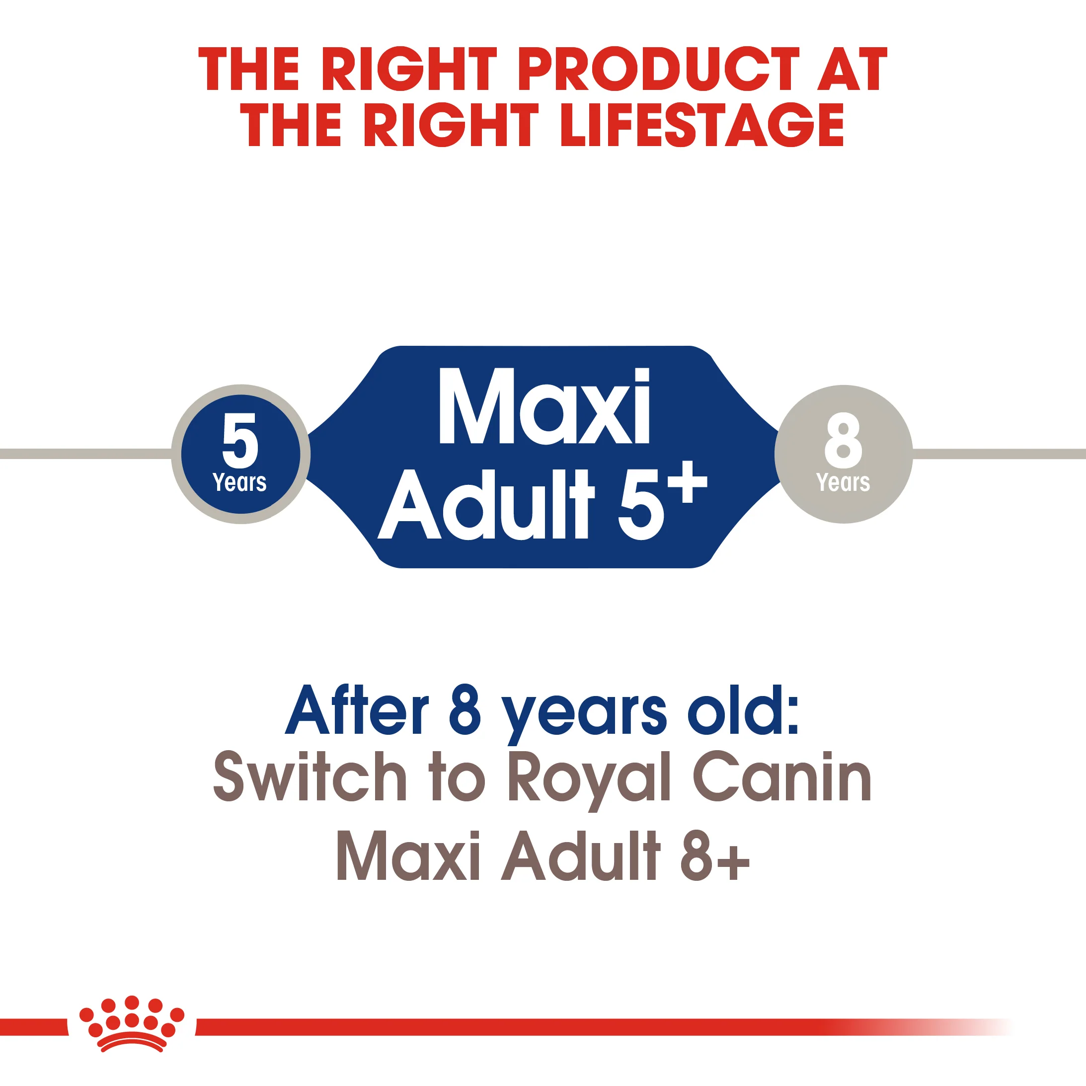 ROYAL CANIN® Maxi Adult 5+ Dry Dog Food - Image 7