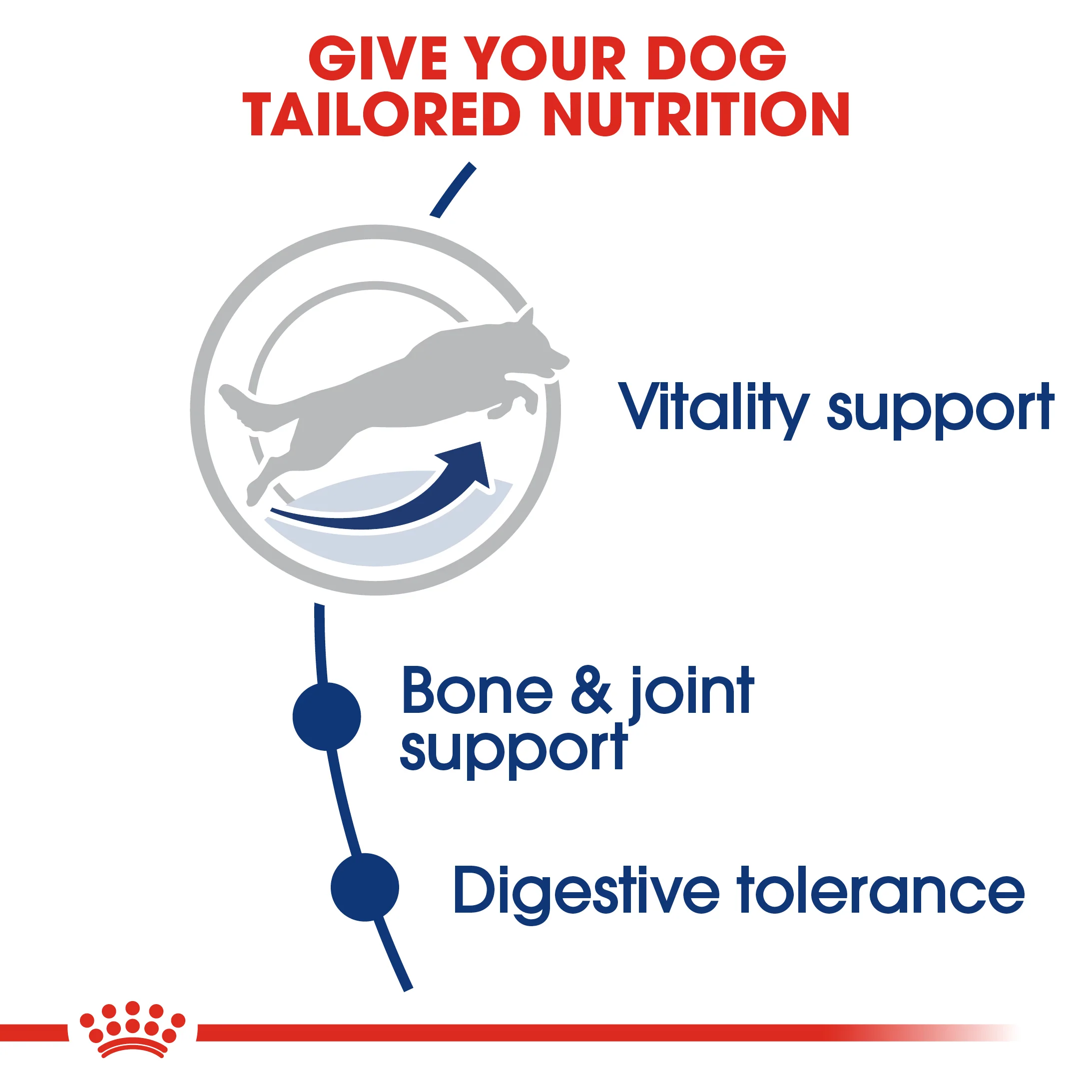 ROYAL CANIN® Maxi Adult 5+ Dry Dog Food - Image 8