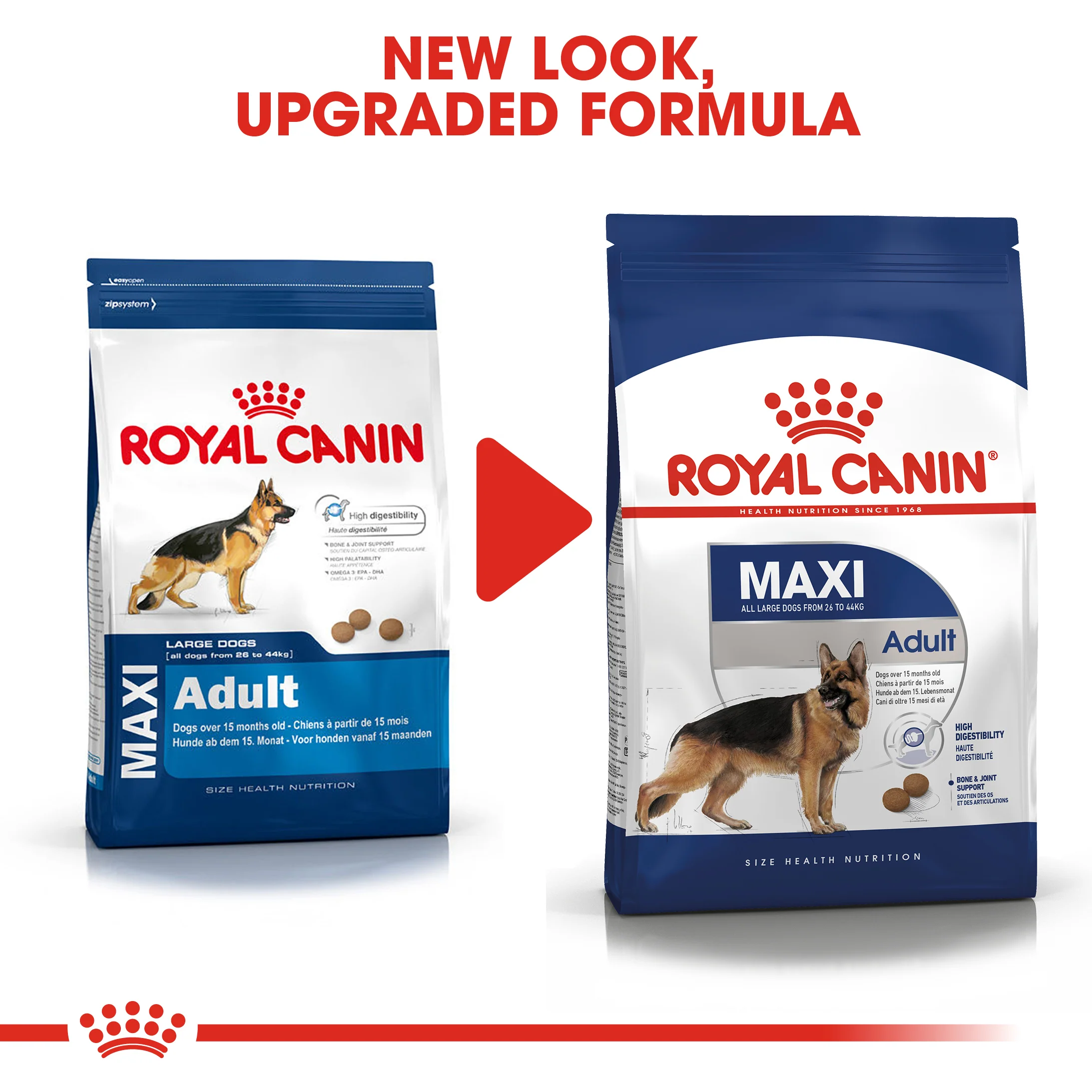 ROYAL CANIN® Maxi Adult Dry Dog Food - Image 12